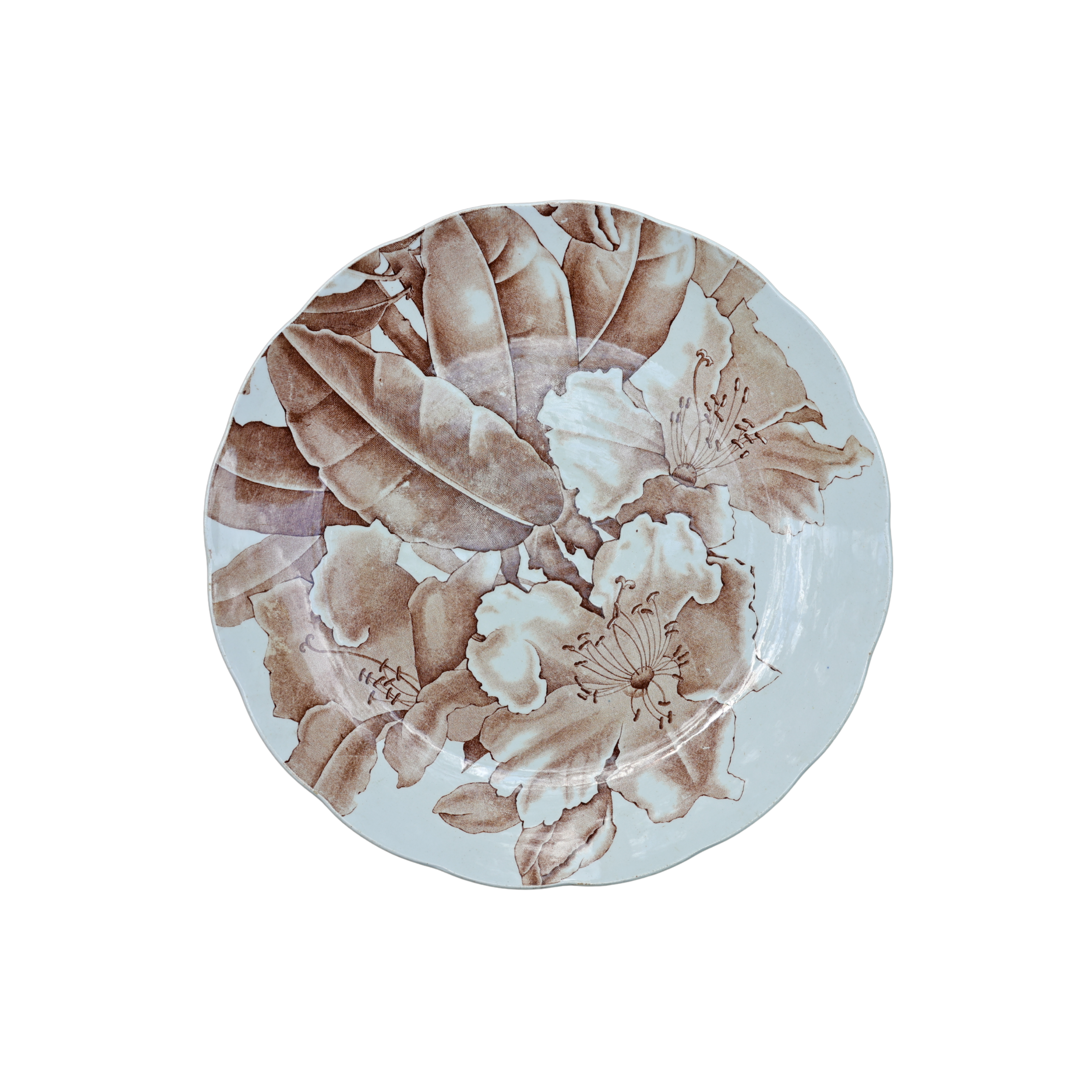 c. 1885 "Kew" Brown-Westhead, Moore & Co. Floral Plate