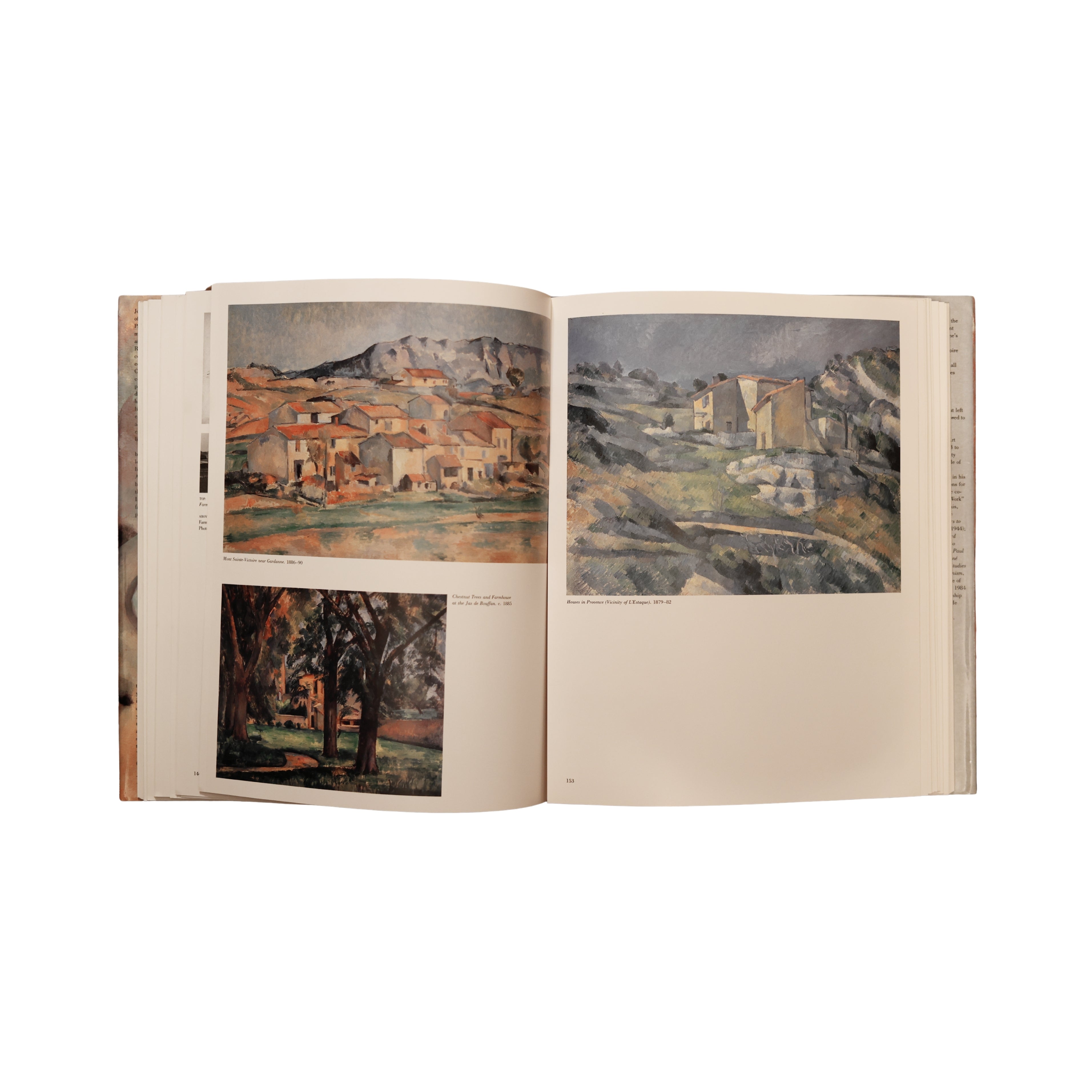 Cézanne: A Biography (1986)