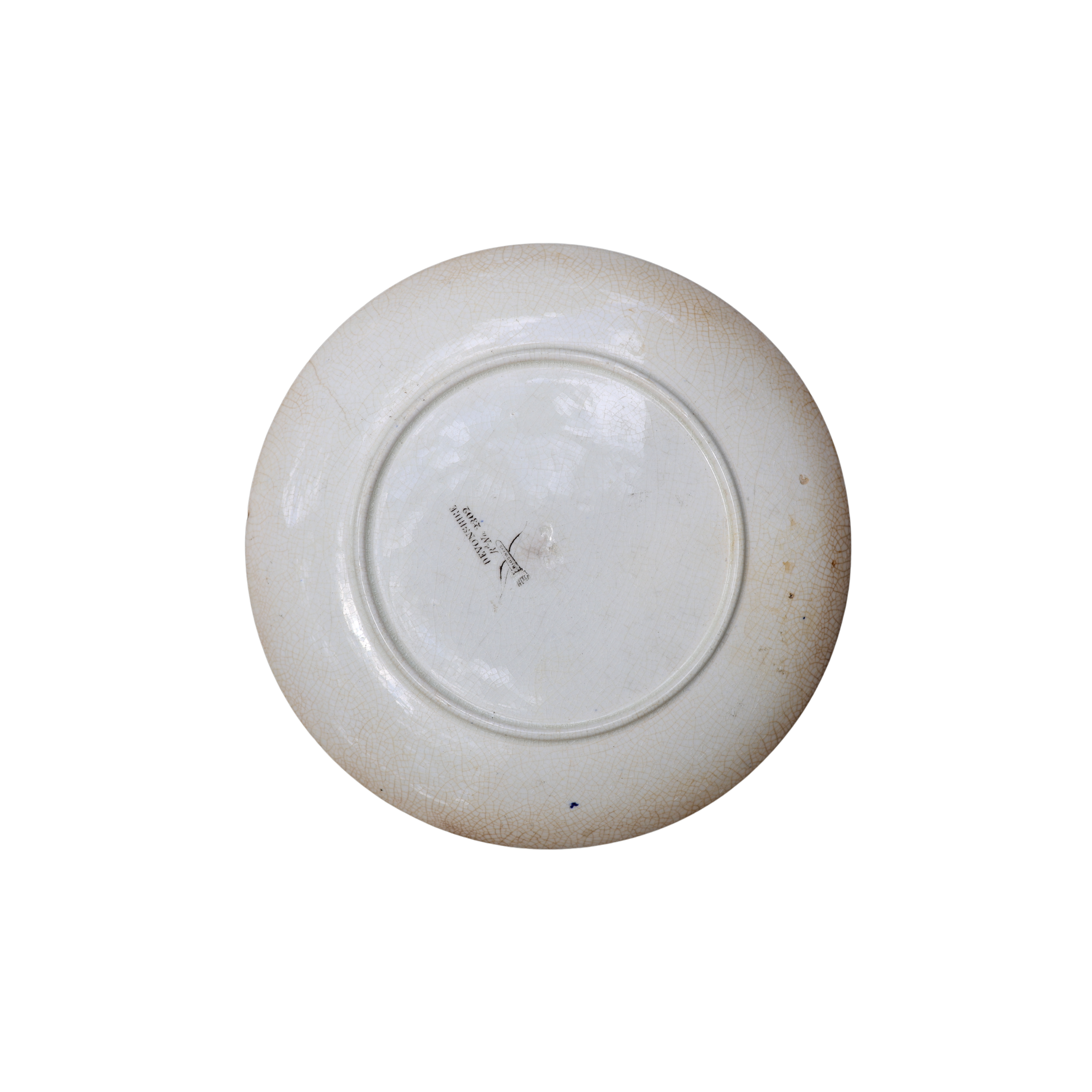 c. 1884 Ridgways "Devonshire" Plate