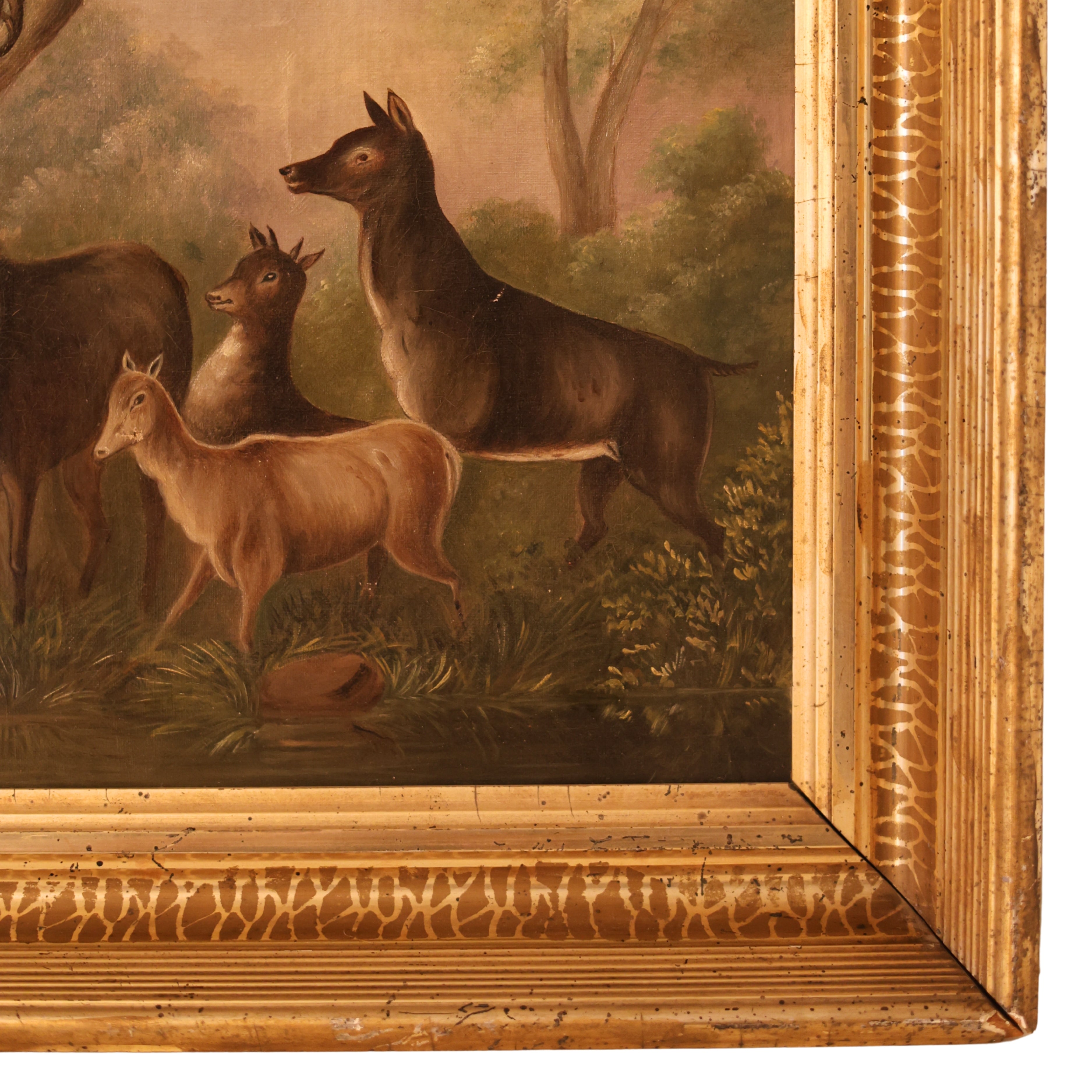 Stag and Deer in Woodland Oil Painting