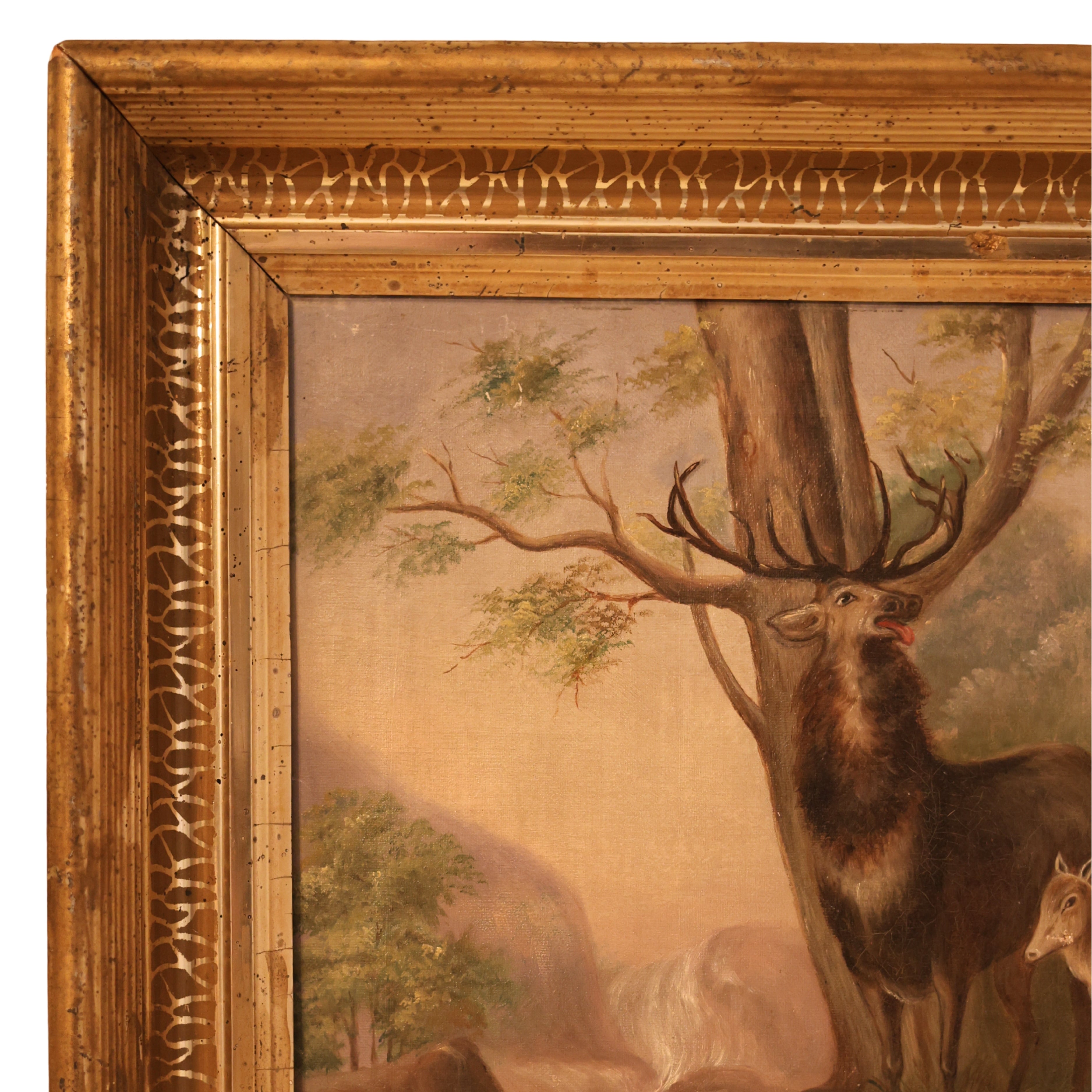 Stag and Deer in Woodland Oil Painting