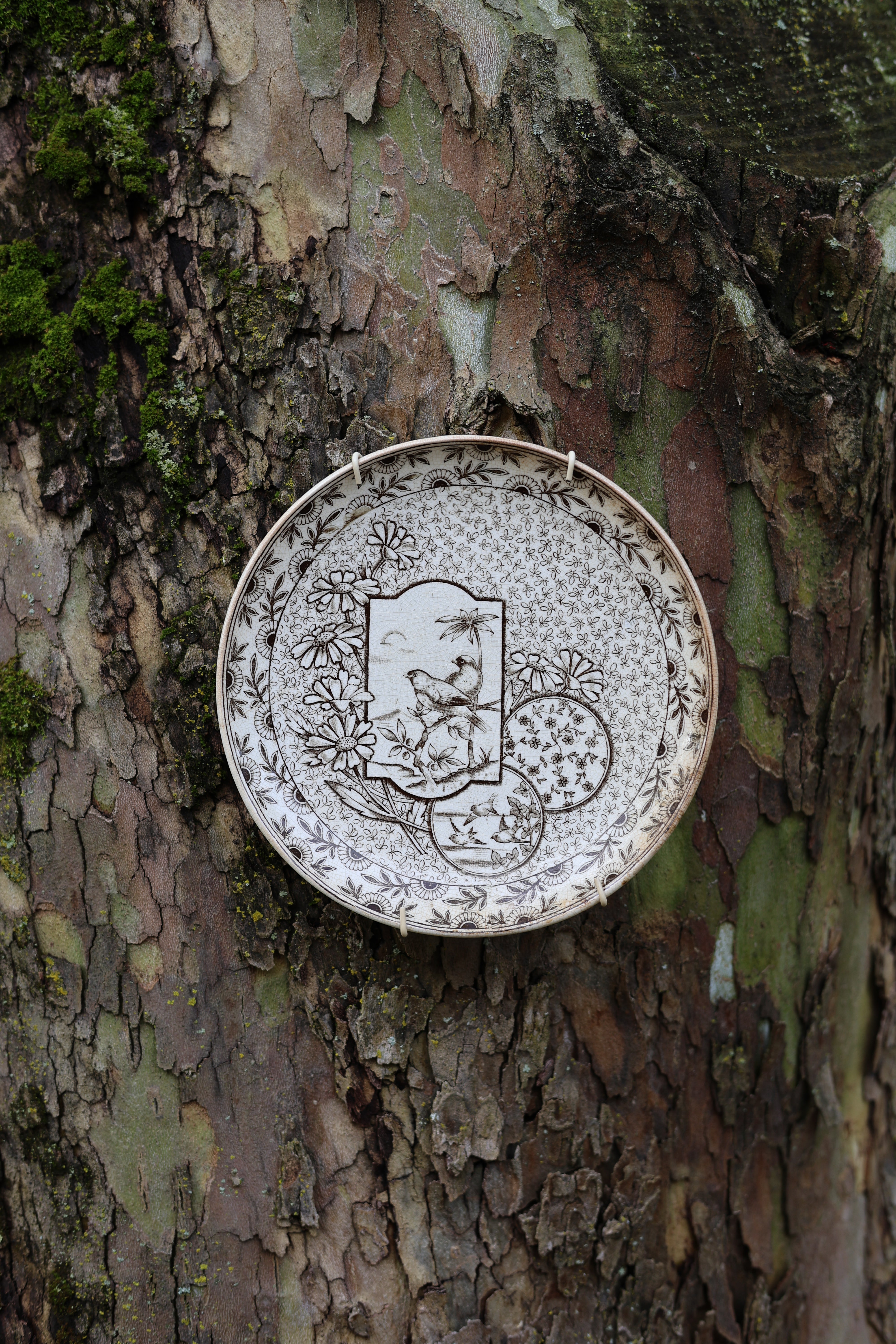 c. 1884 Ridgways "Devonshire" Plate
