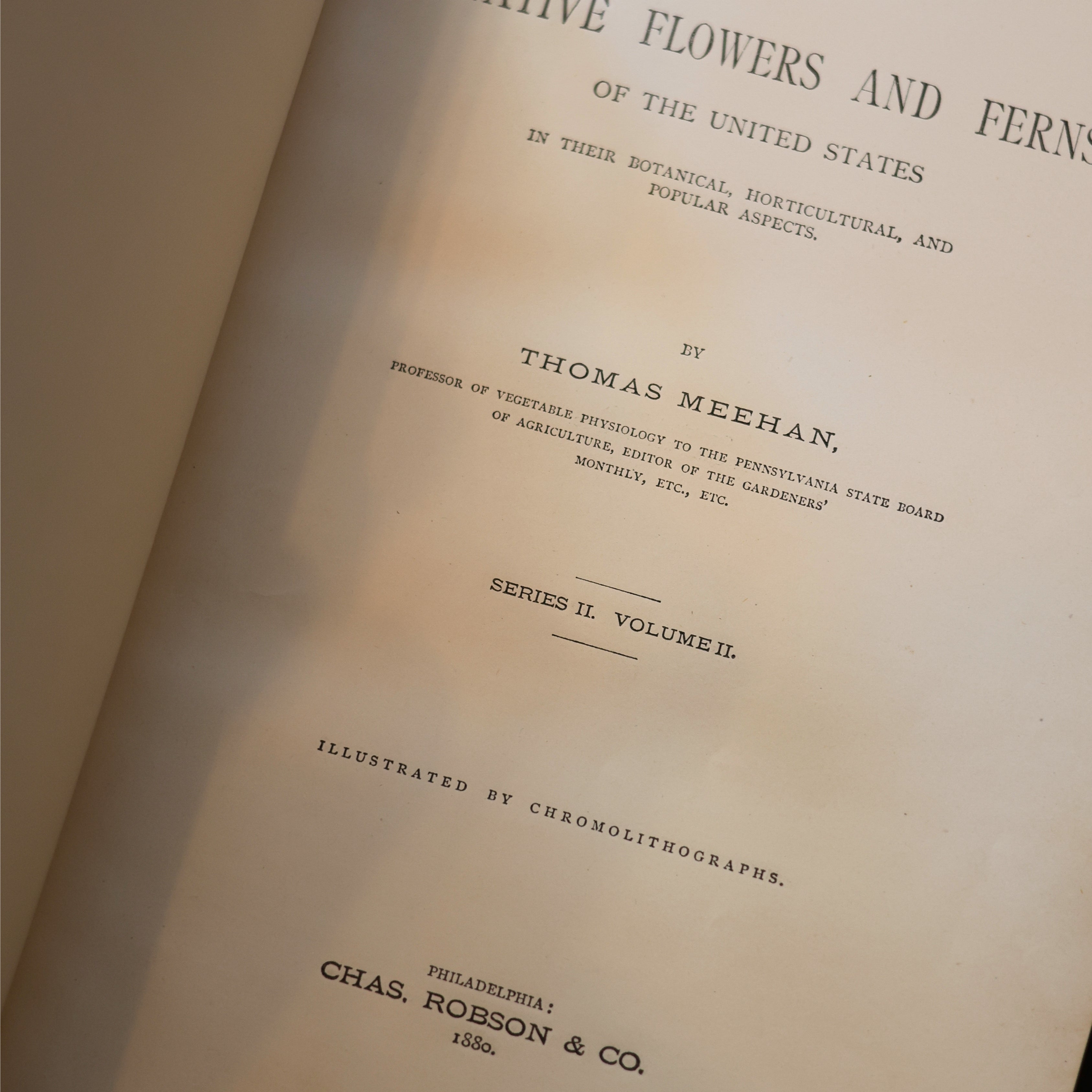 The Native Flowers and Ferns of the United States