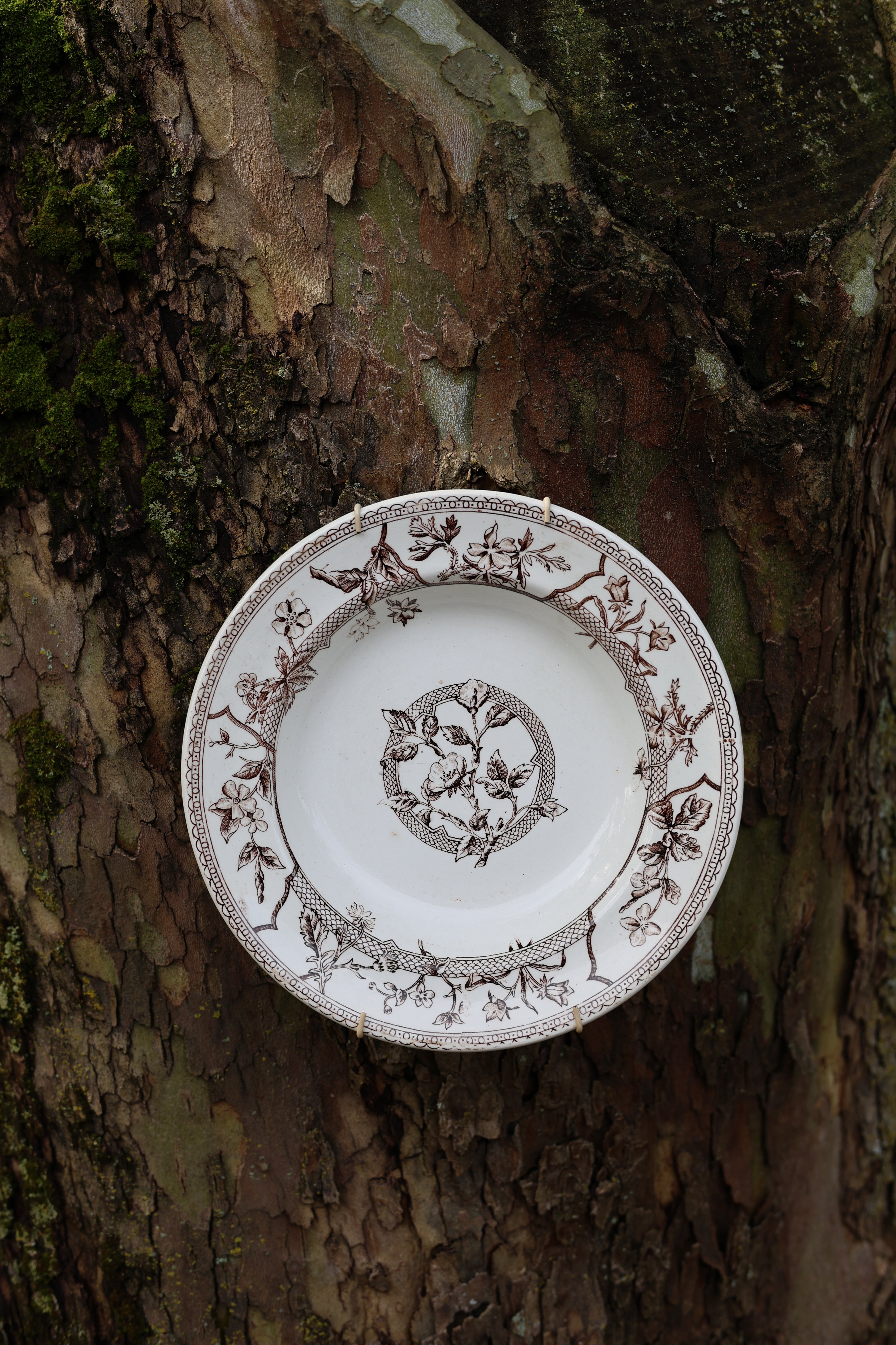 J.F. Wileman "Wild Flowers" Bowl