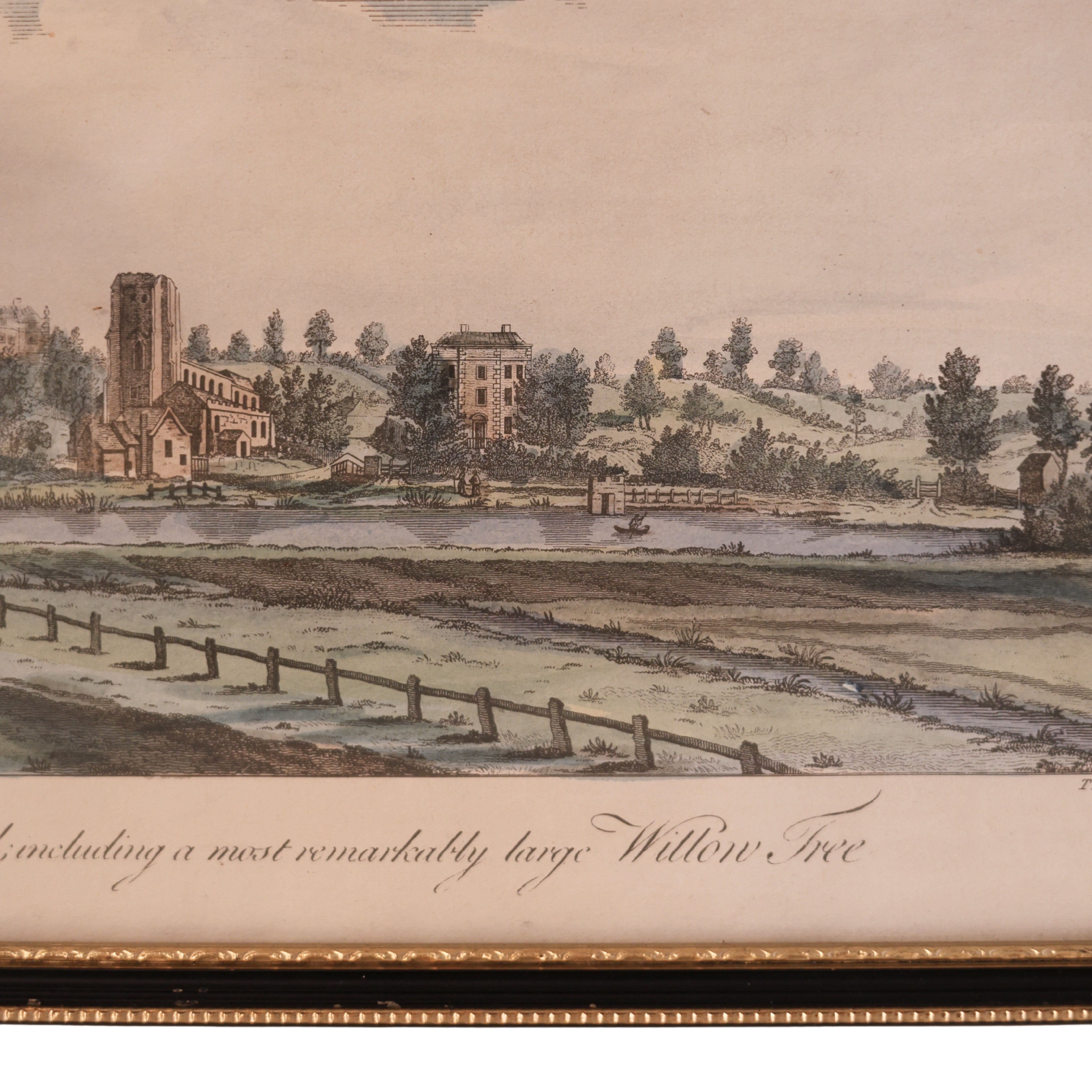 18th c. Engraving Landscape of Lichfield, “Remarkably Large Willow Tree”