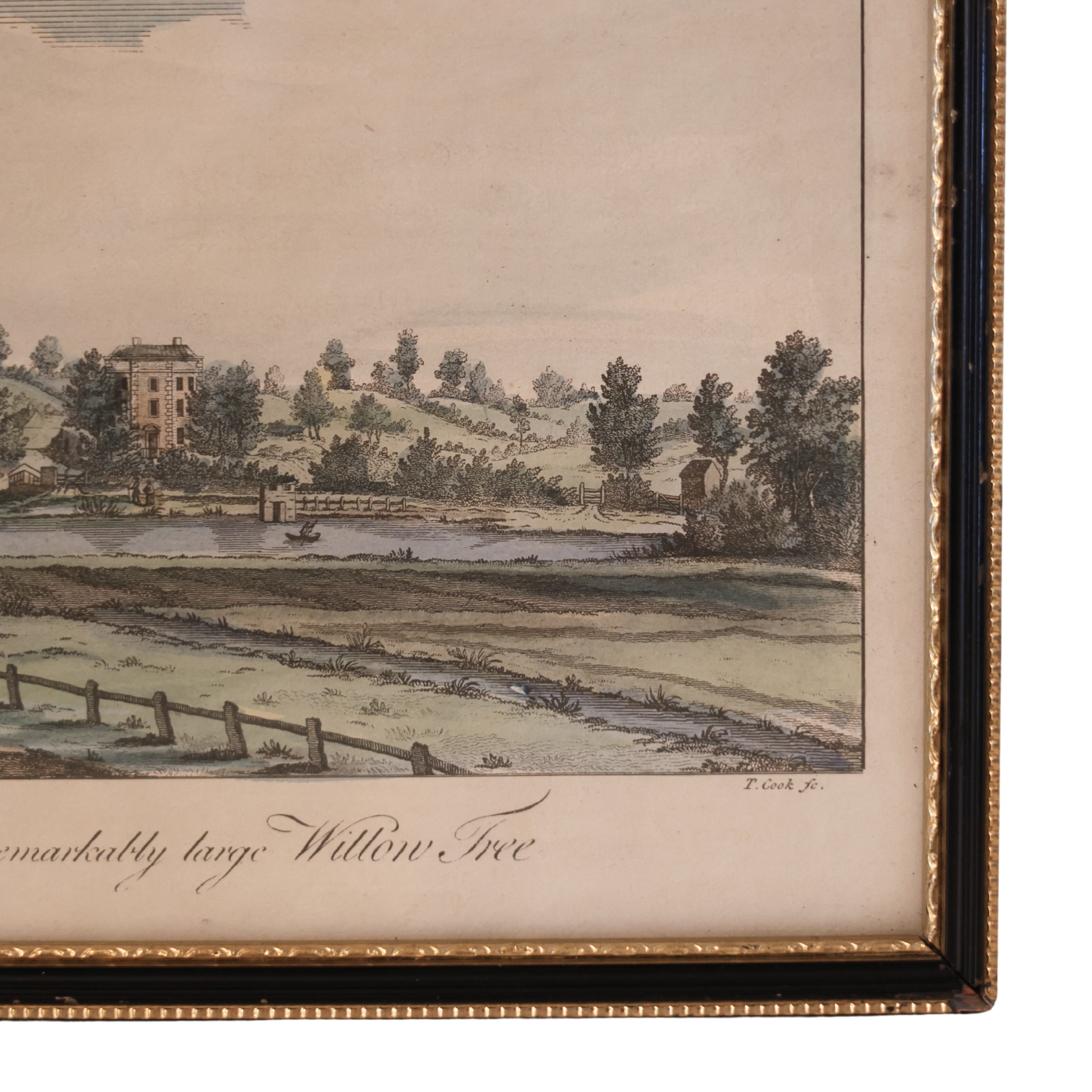 18th c. Engraving Landscape of Lichfield, “Remarkably Large Willow Tree”