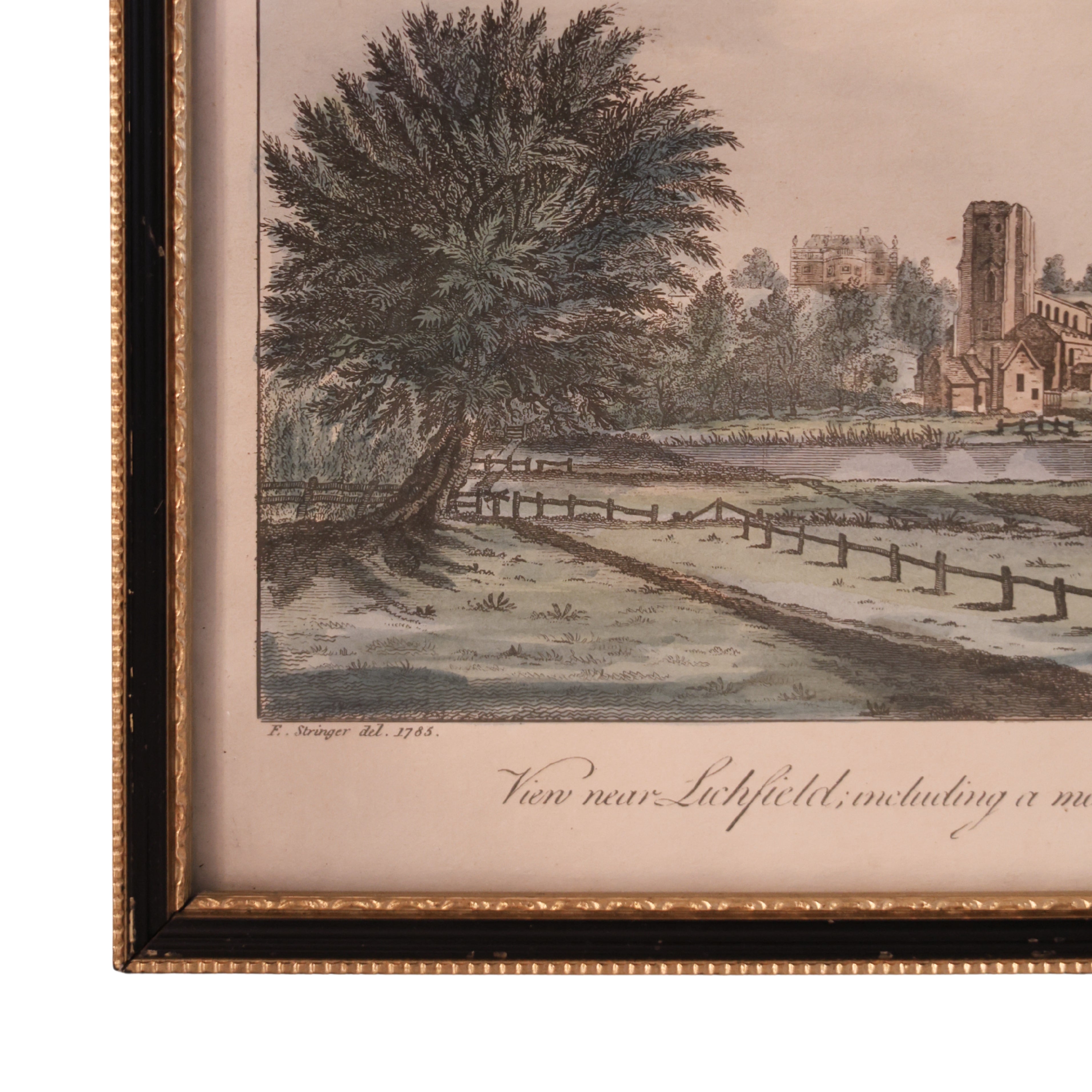 18th c. Engraving Landscape of Lichfield, “Remarkably Large Willow Tree”