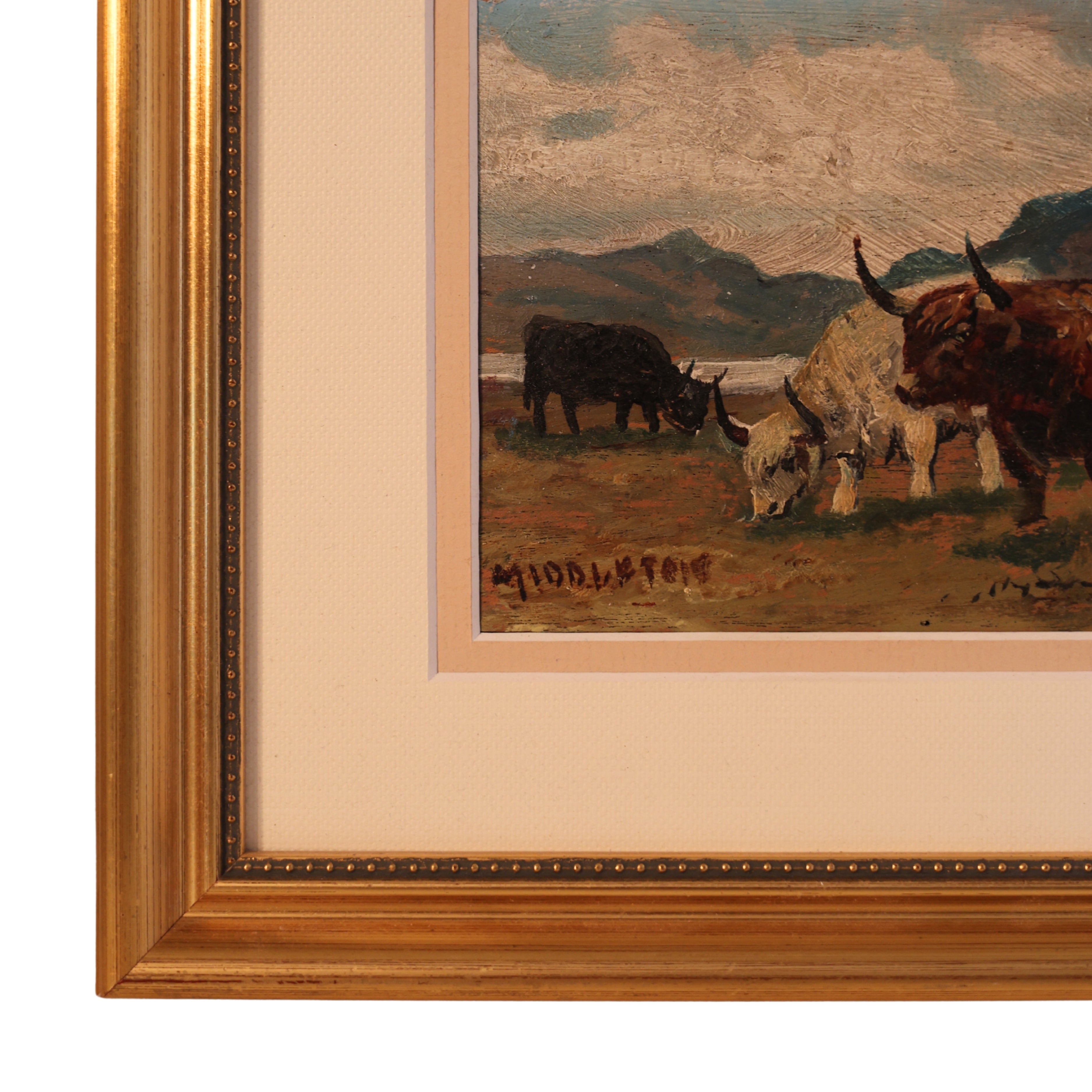 Highland Cattle Painting by C. W. Middleton