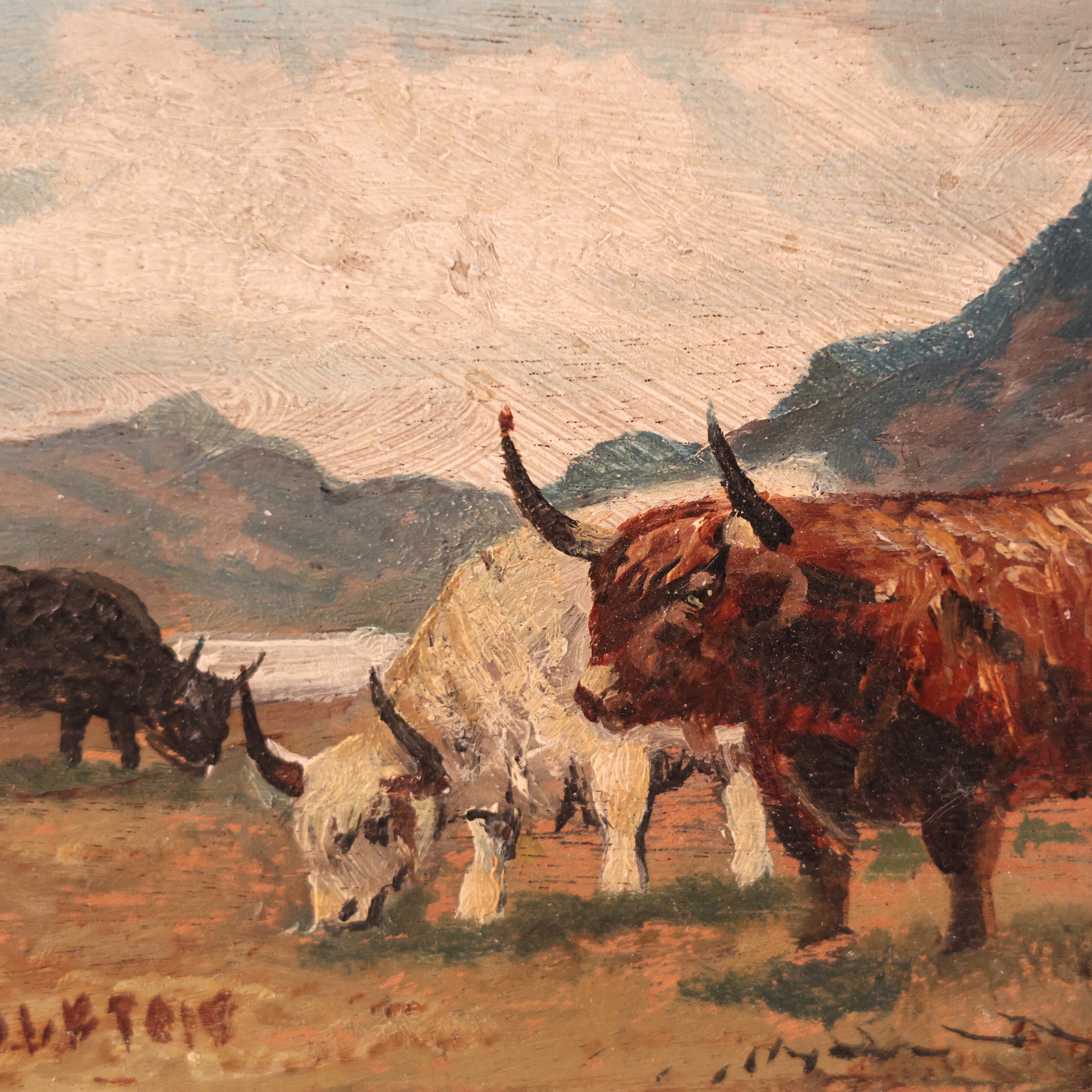 Highland Cattle Painting by C. W. Middleton