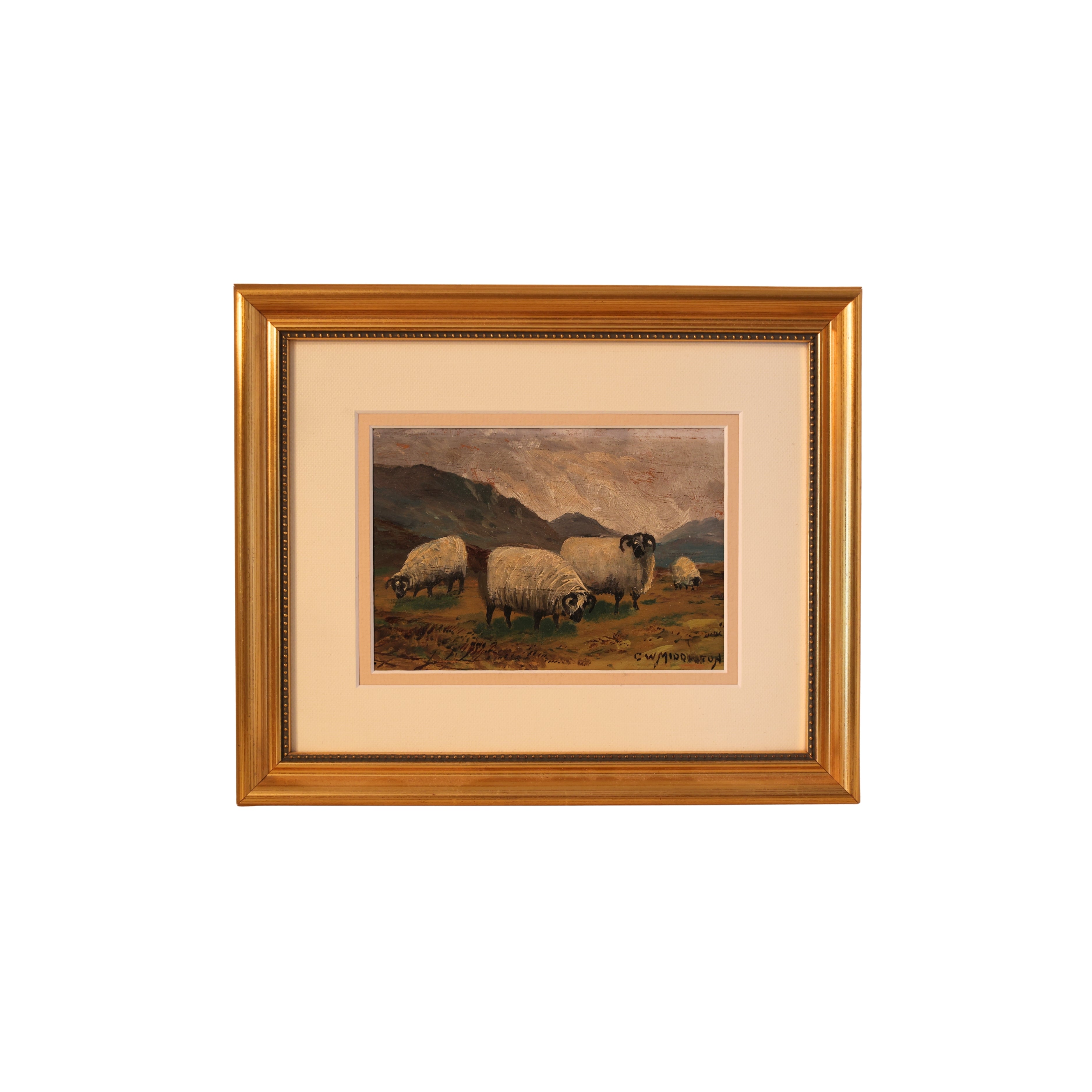Highland Sheep Painting by C. W. Middleton