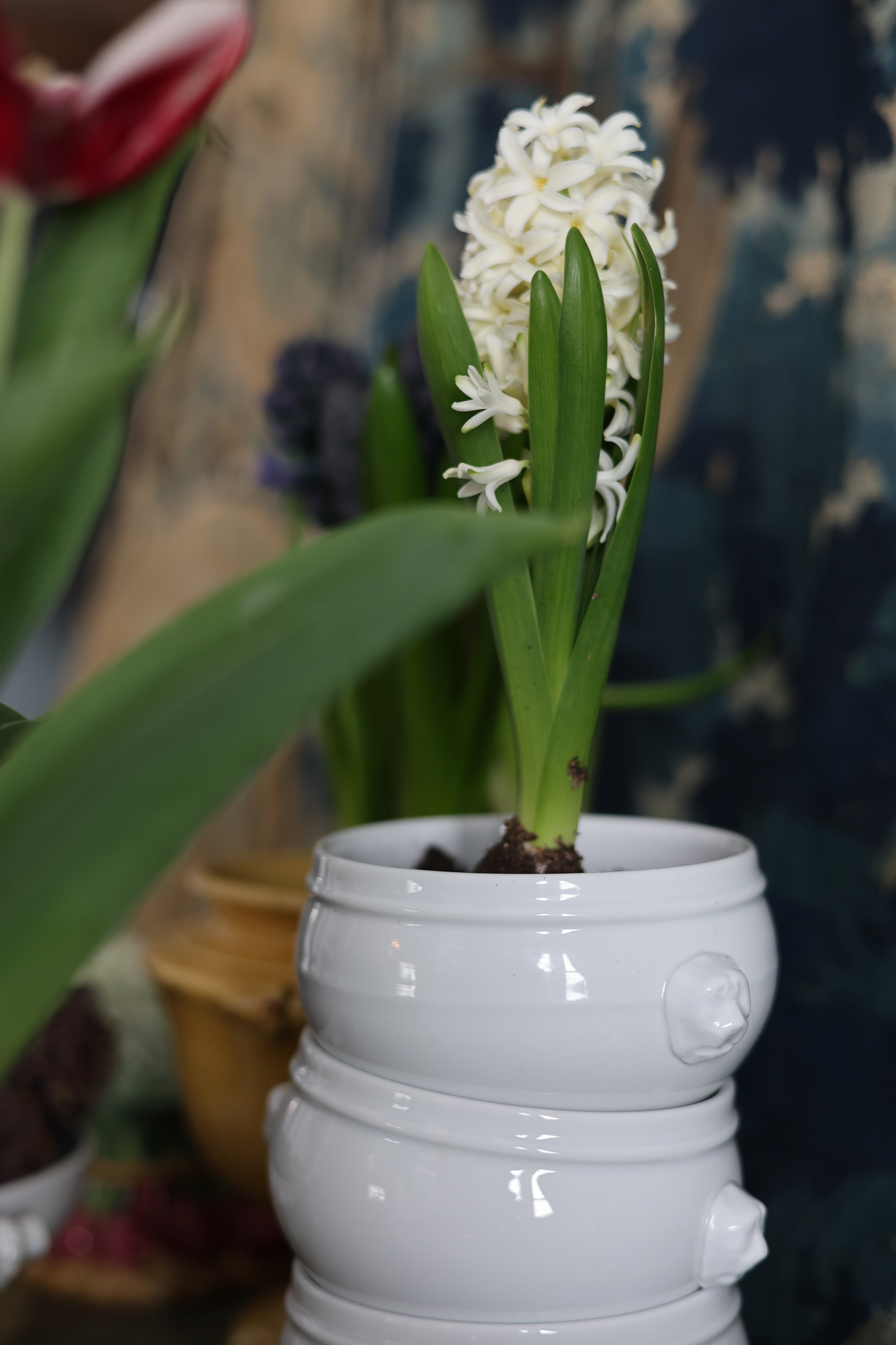 French Pillivuyt Lion Head Porcelain Soup Bowls