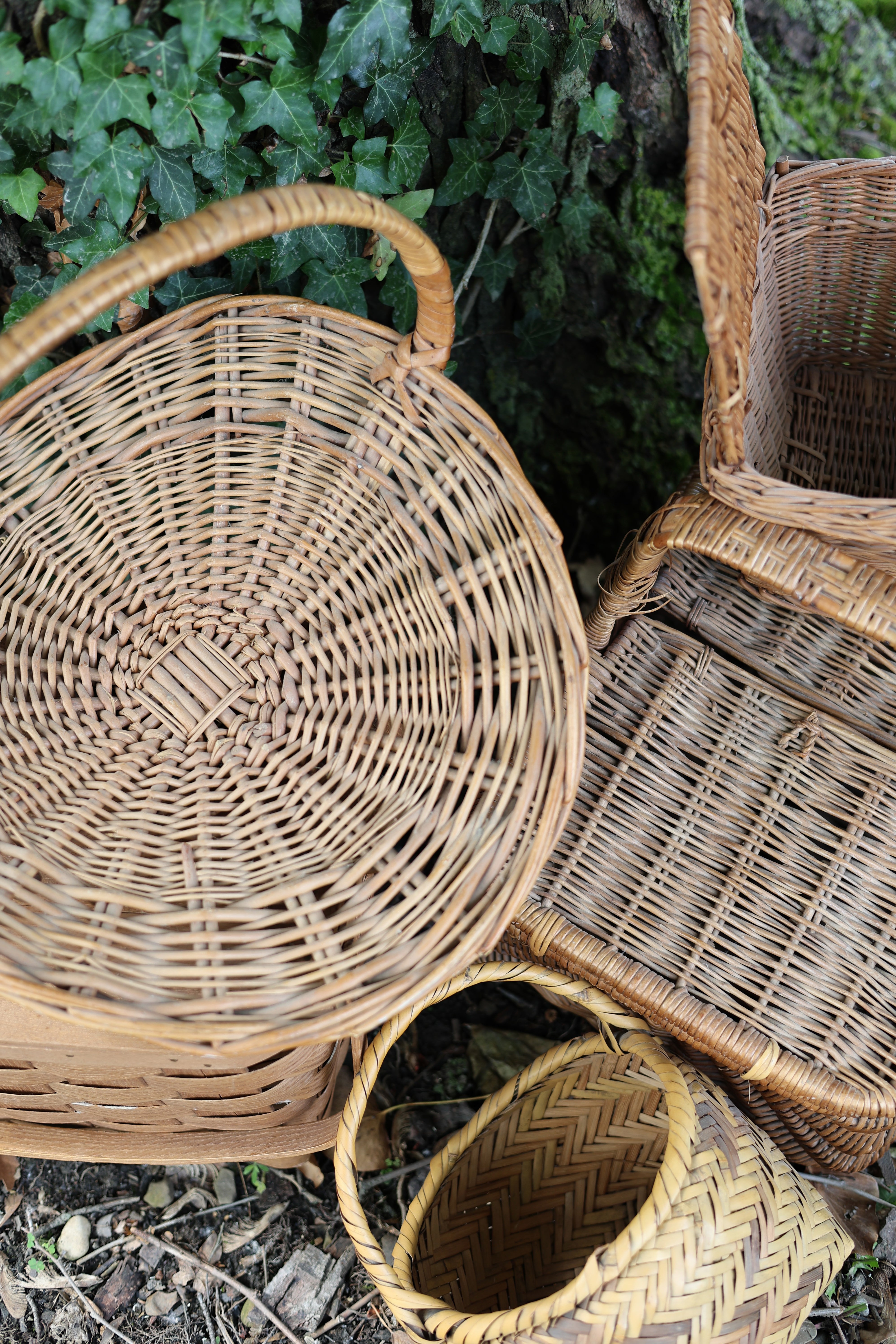 Wicker Harvest Basket