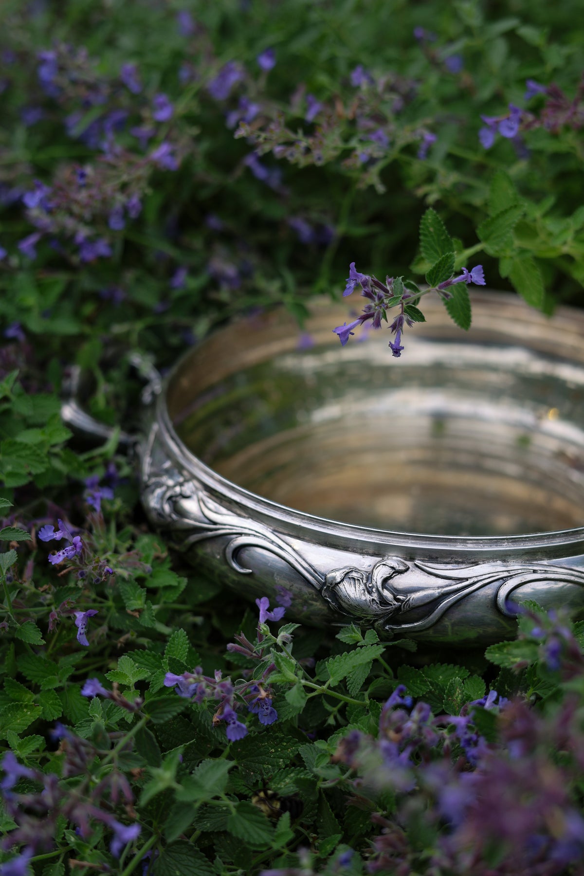 A Midsummer Night's Dream
