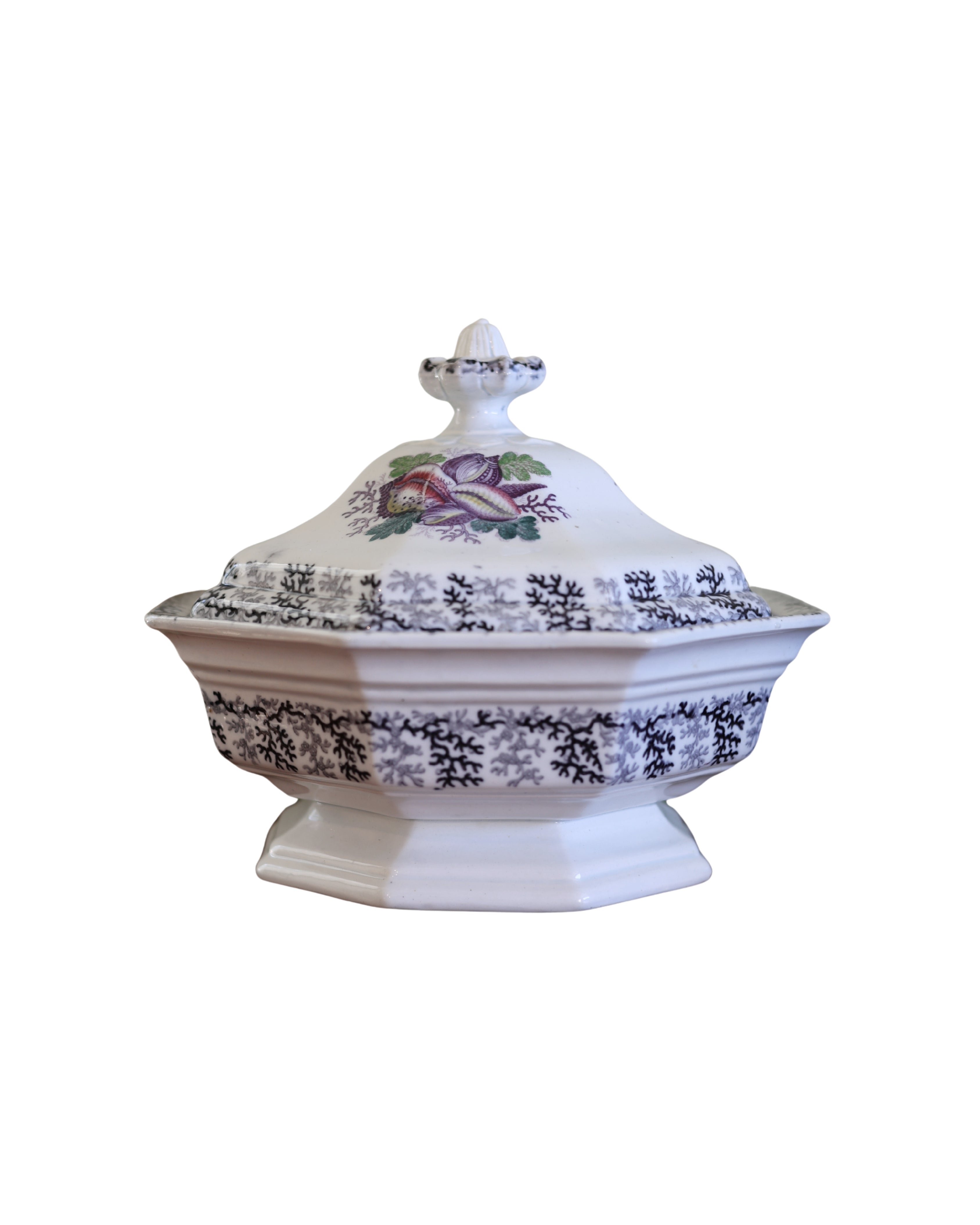 Jacob Furnival & Co. "Coral" Covered Tureen-1