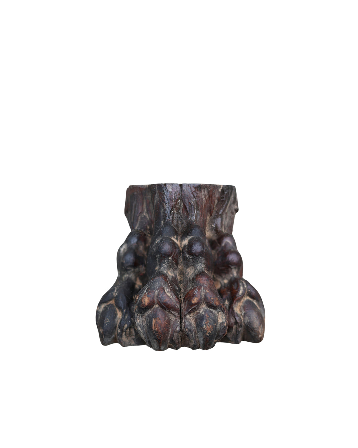 Carved Lion Paw
