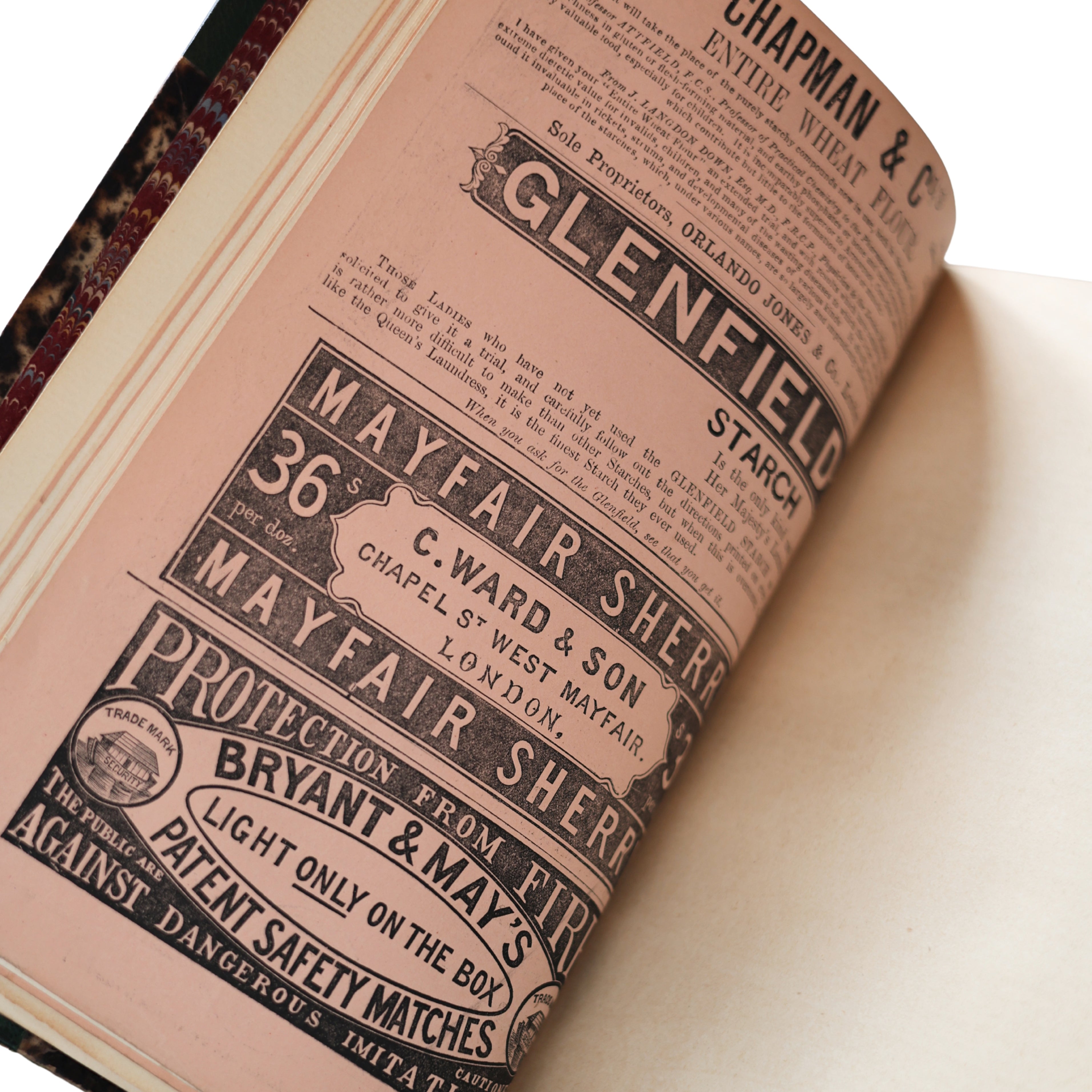 "Essays from Macmillan’s Magazine" (1870)