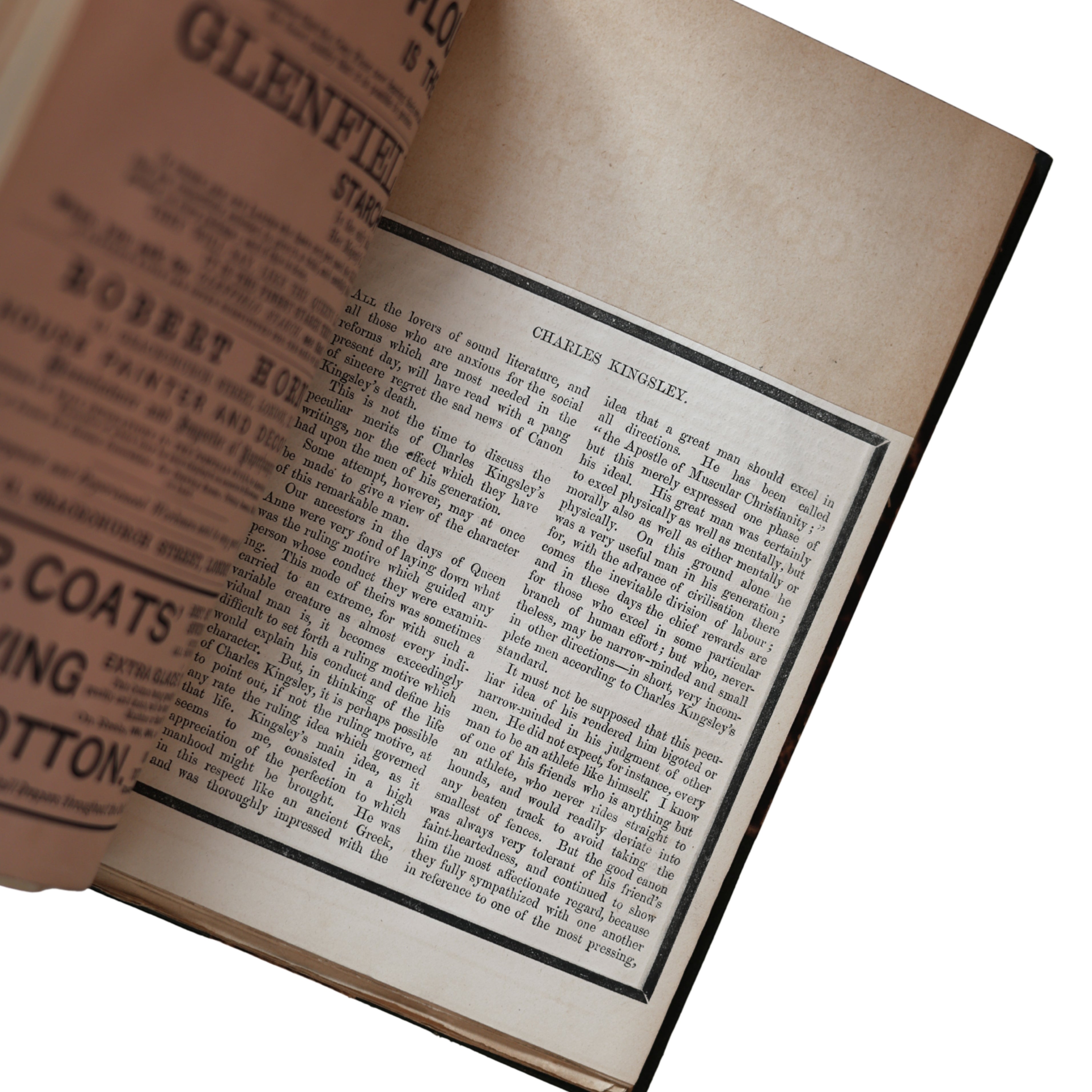 "Essays from Macmillan’s Magazine" (1870)