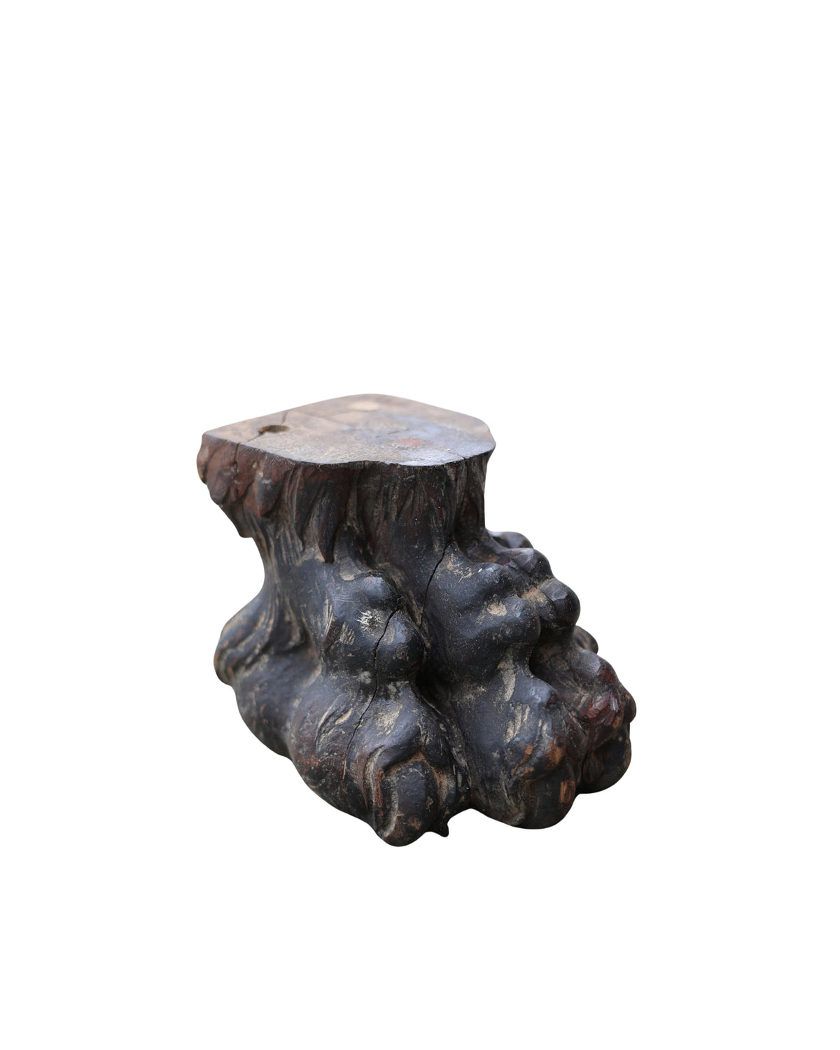 Carved Lion Paw-4