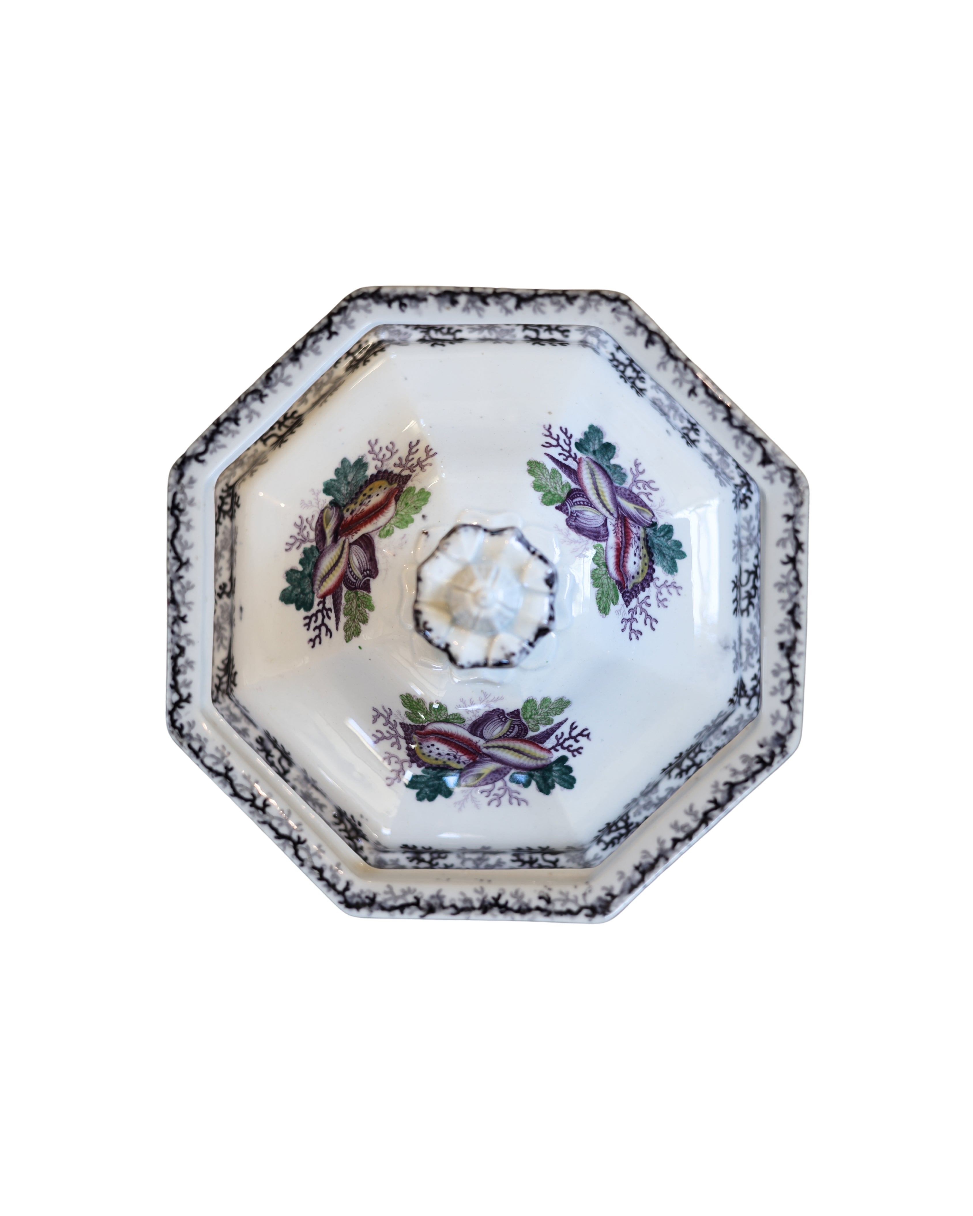 Jacob Furnival & Co. "Coral" Covered Tureen-2