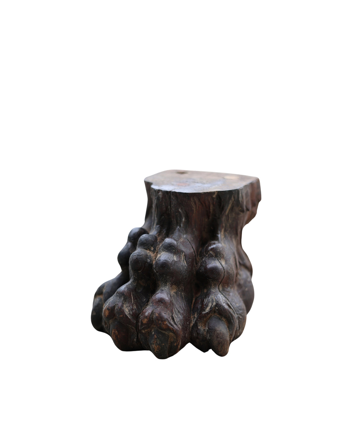 Carved Lion Paw