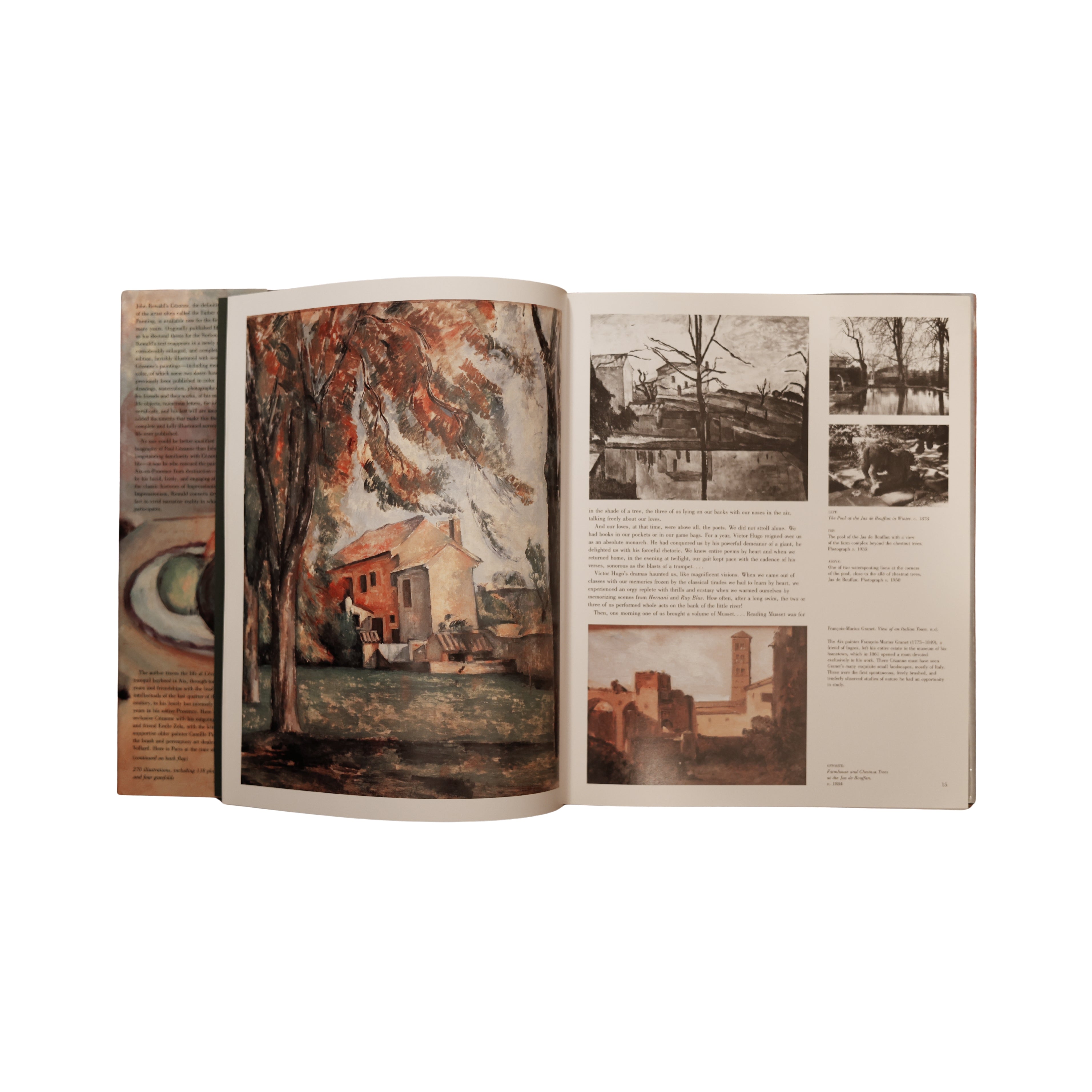 Cézanne: A Biography (1986)