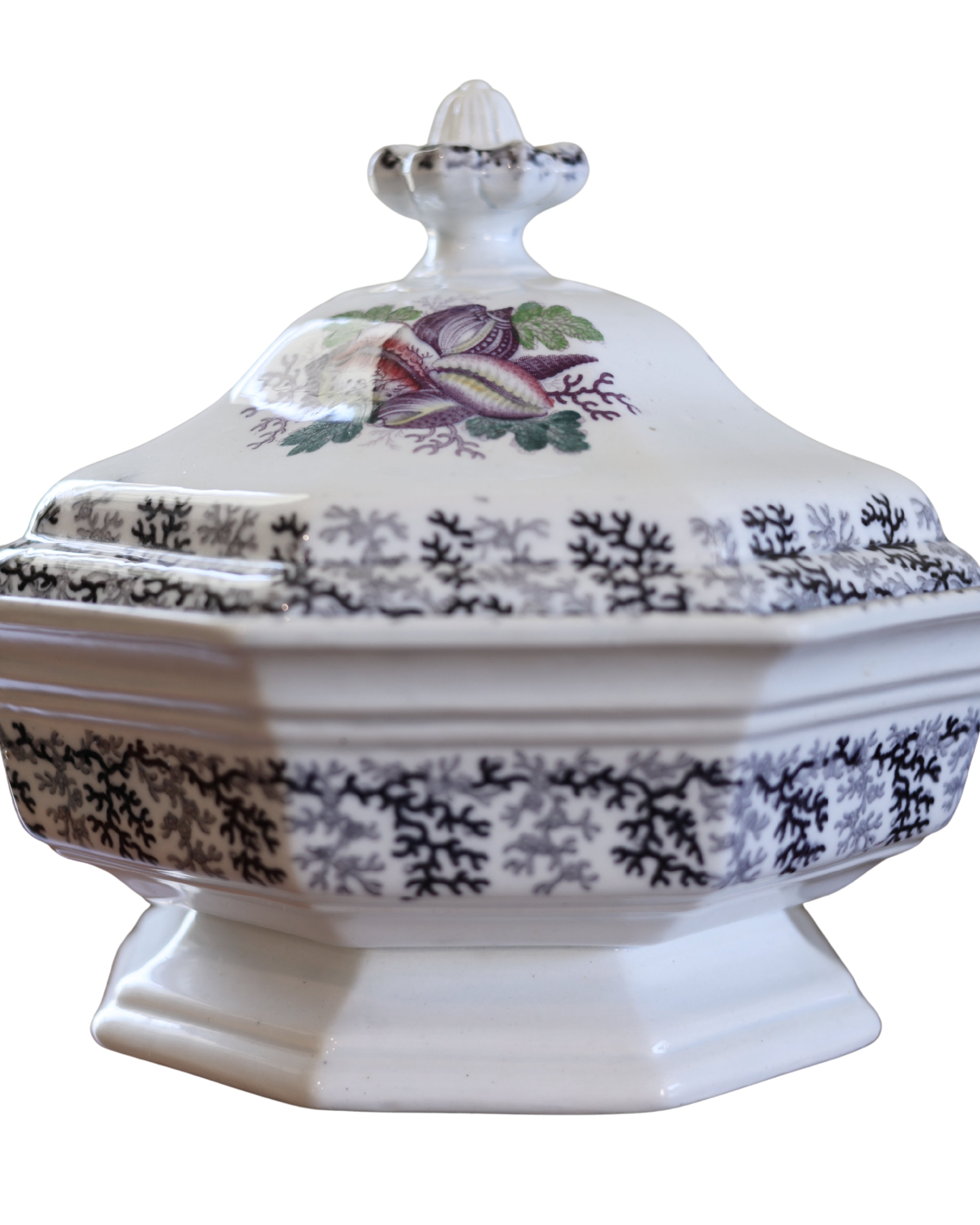 Jacob Furnival & Co. "Coral" Covered Tureen-4