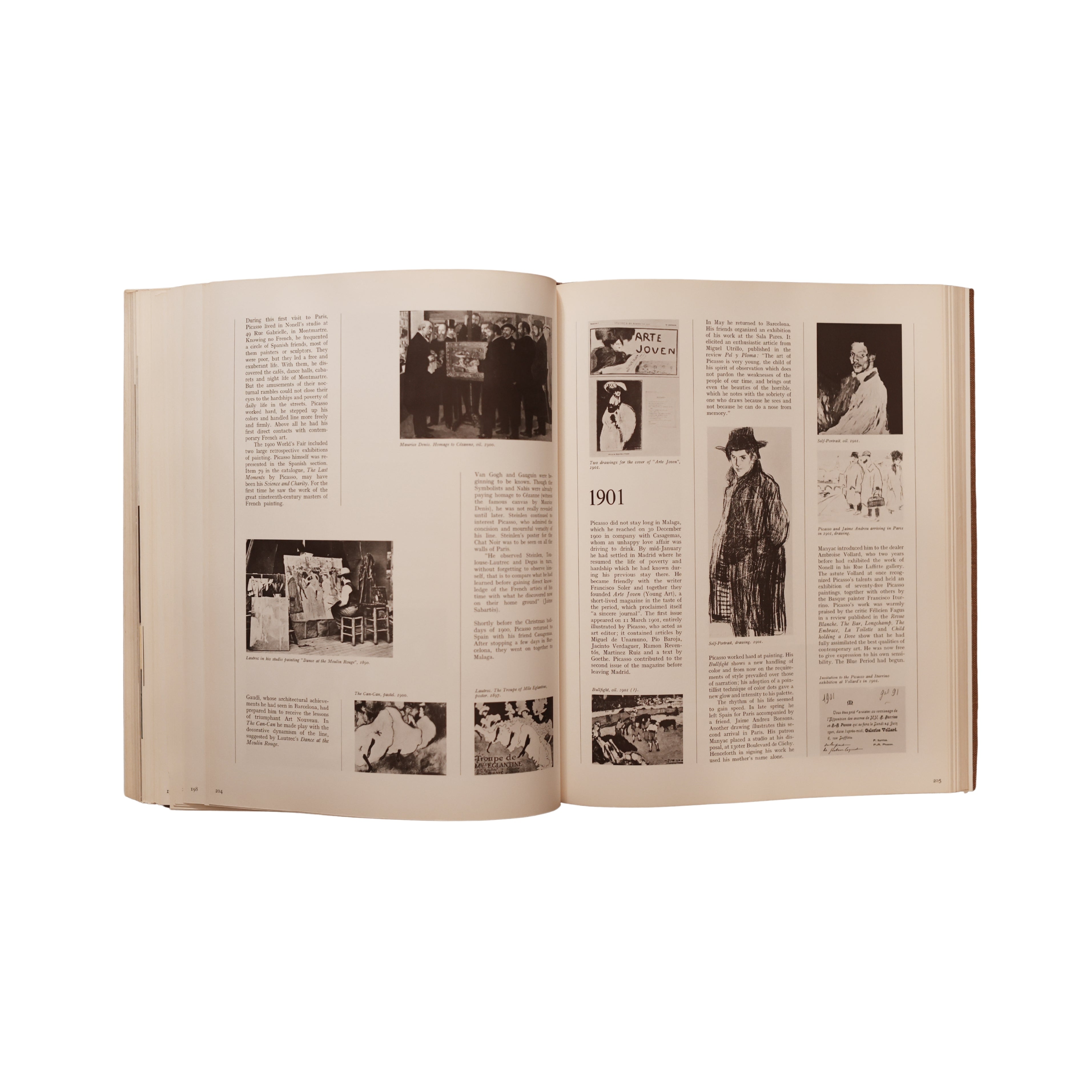 Picasso: The Artist of the Century (1972)