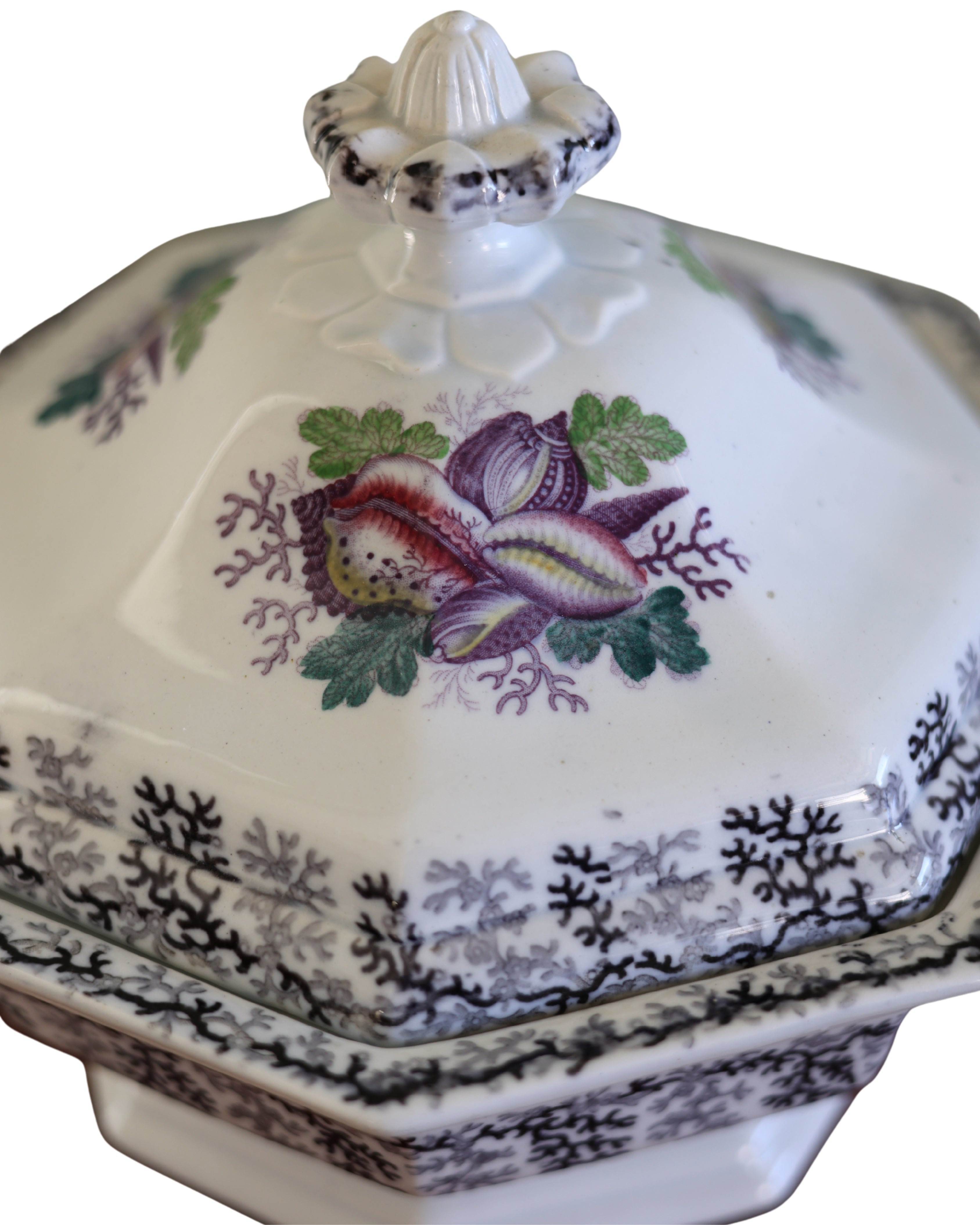 Jacob Furnival & Co. "Coral" Covered Tureen-5