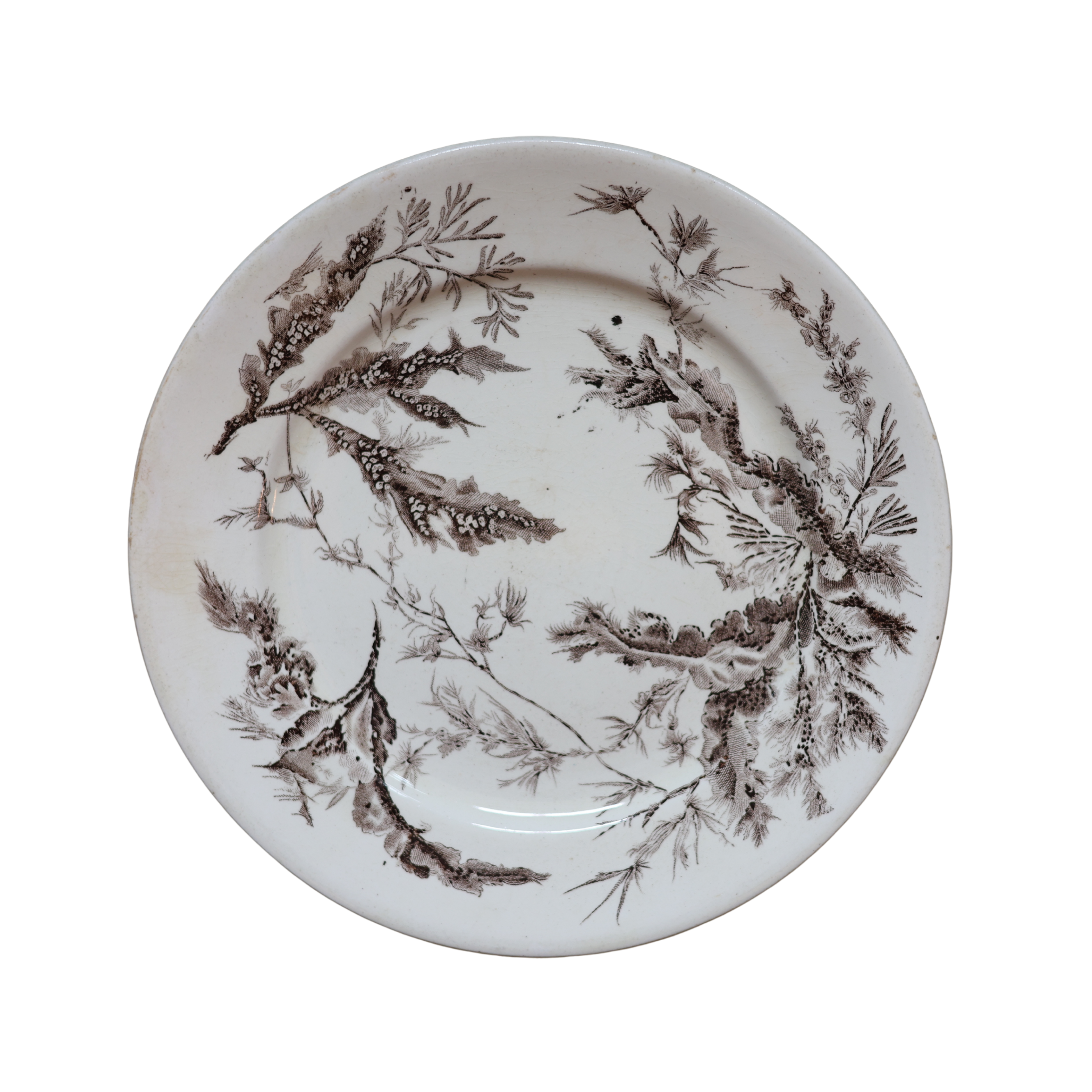 Wedgwood “Coral” Transferware Botanical Plate