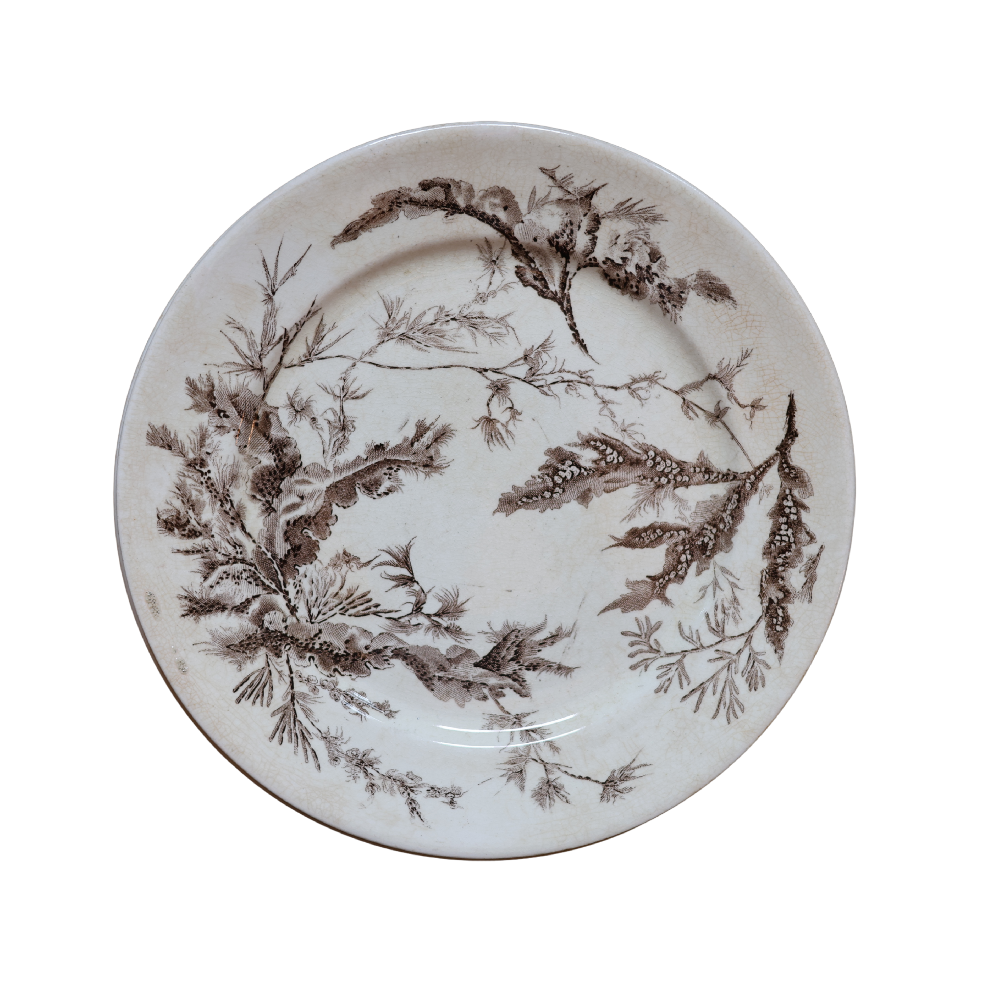 Wedgwood “Coral” Transferware Botanical Plate