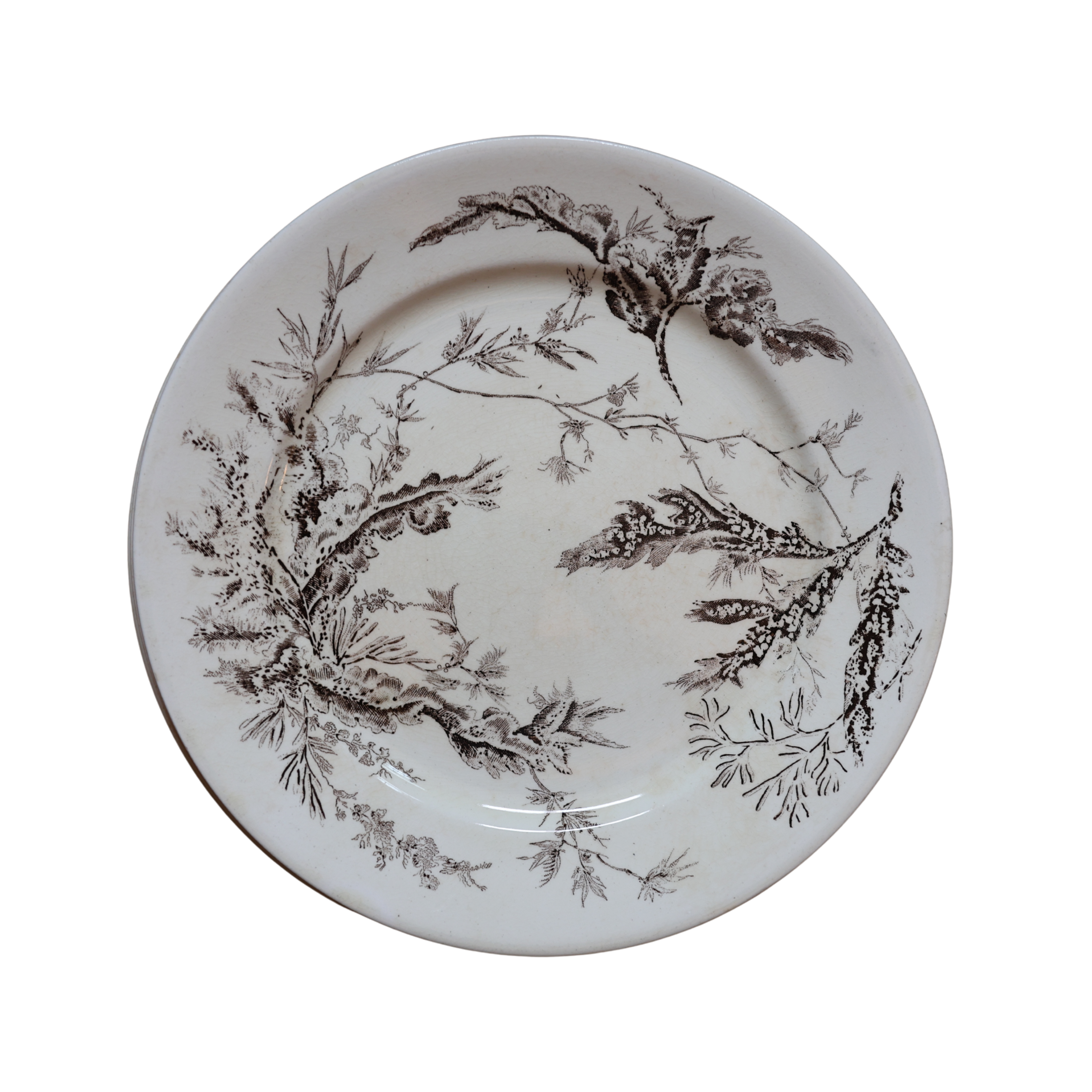 Wedgwood “Coral” Transferware Botanical Plate