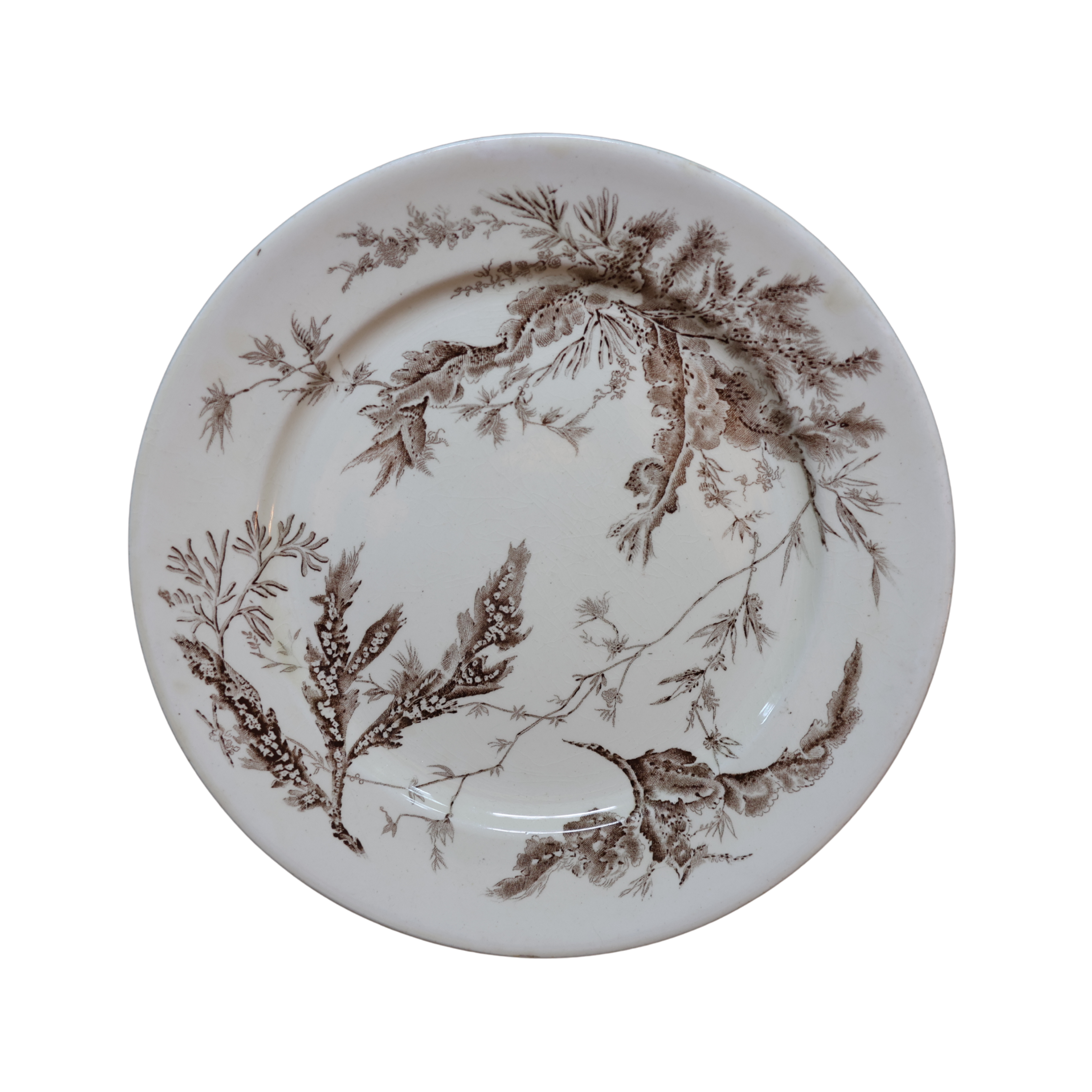 Wedgwood “Coral” Transferware Botanical Plate