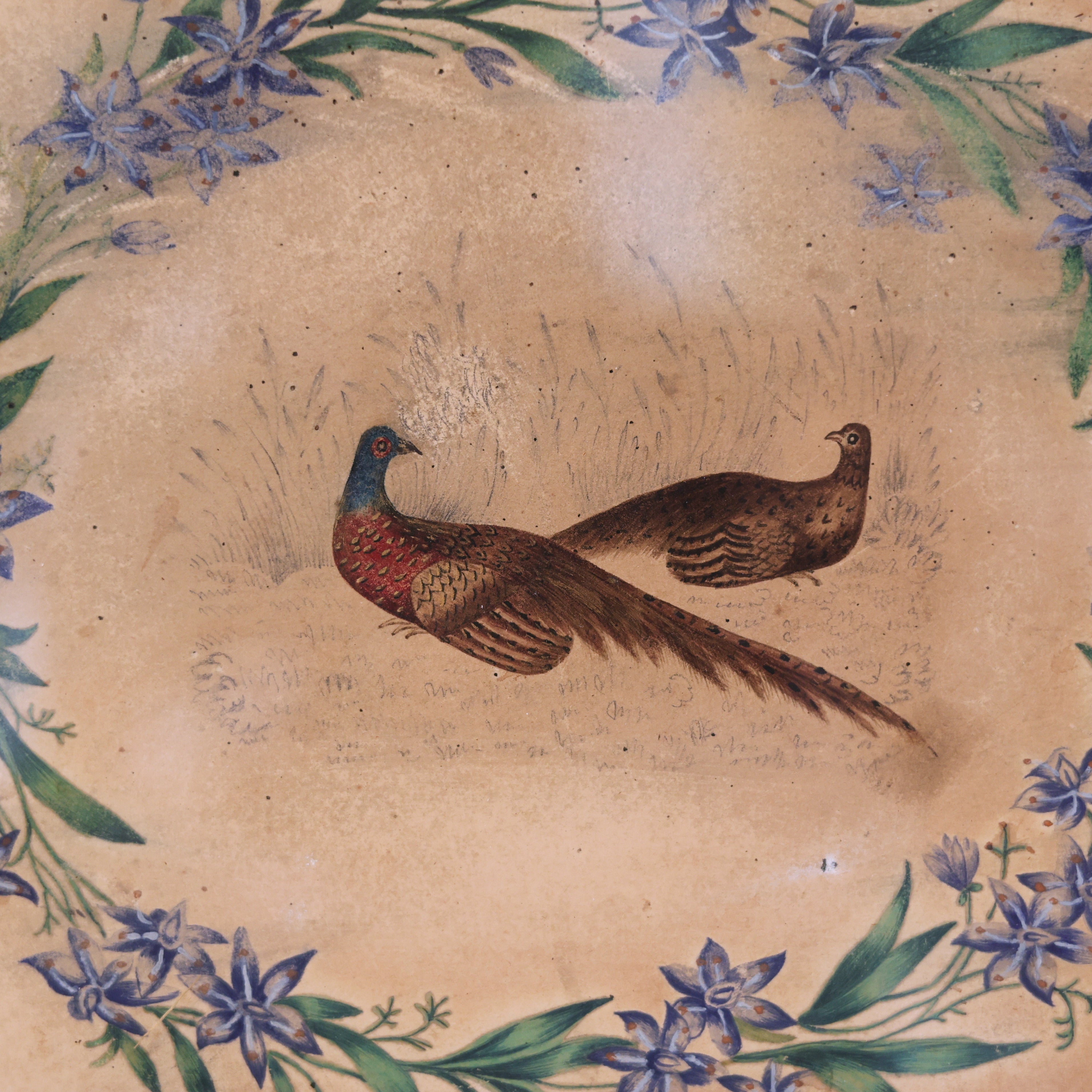 19th c. Hand-Painted Pheasant Face Fire Screen (Framed)