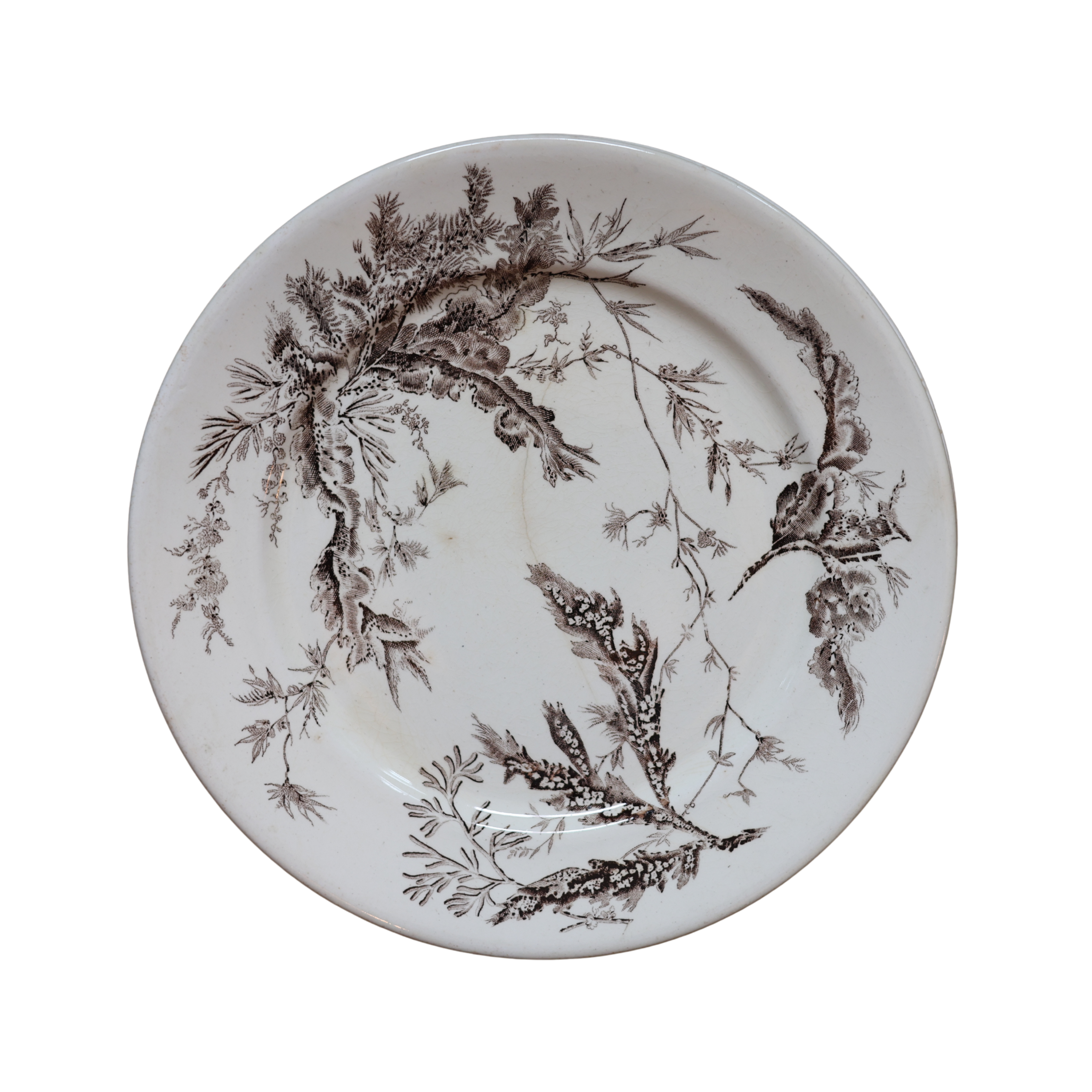 Wedgwood “Coral” Transferware Botanical Plate