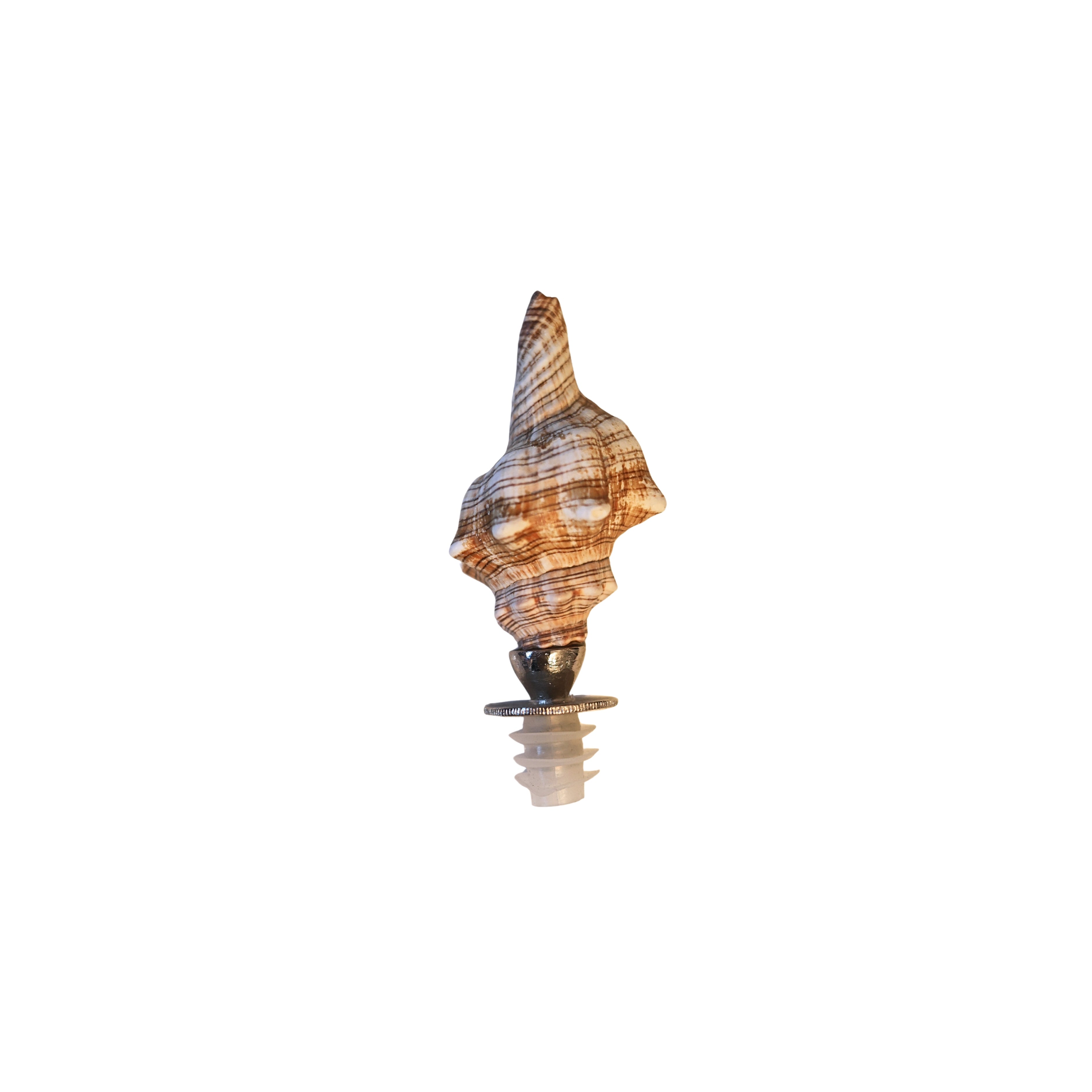 Conch Shell Bottle Stopper