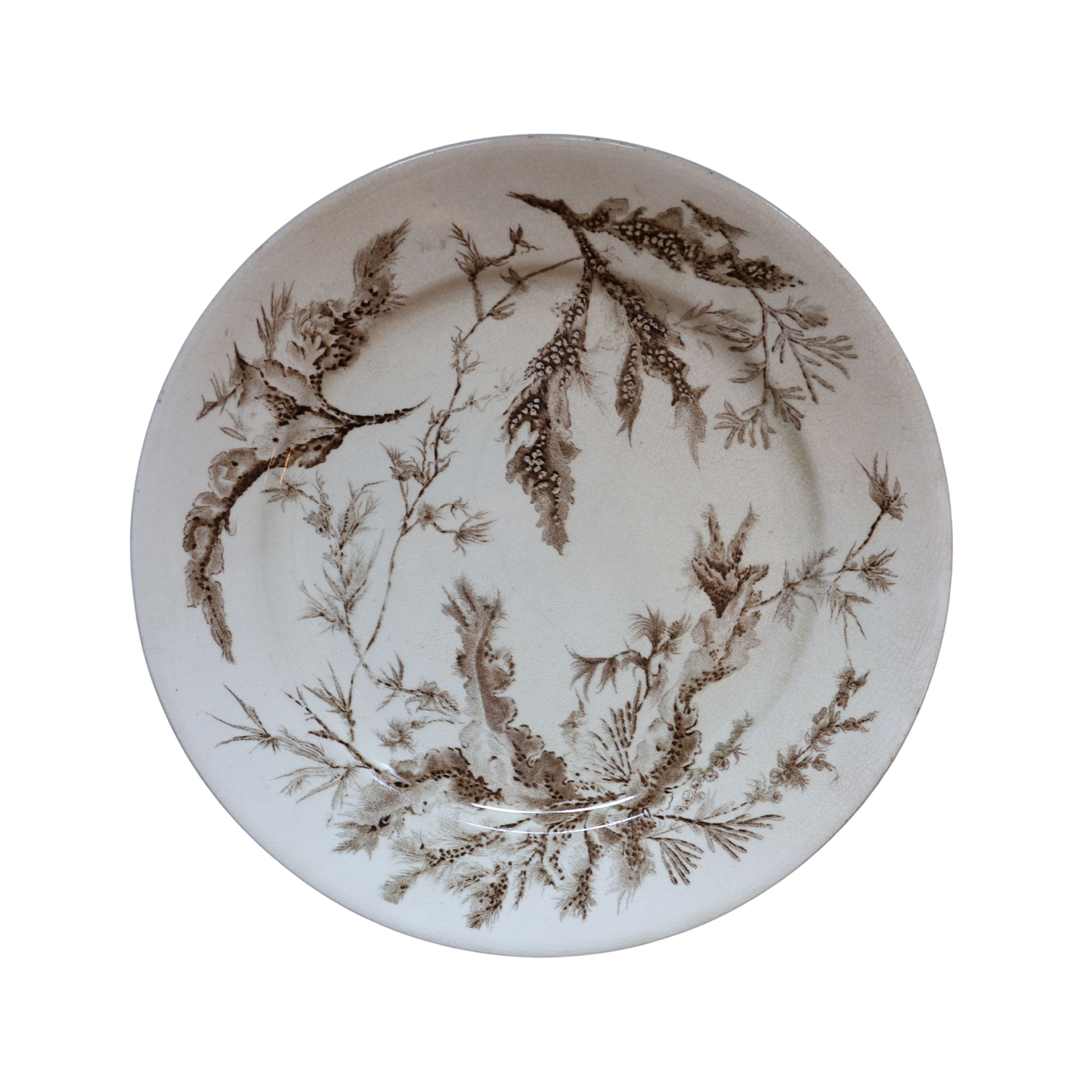 Wedgwood “Coral” Transferware Botanical Plate