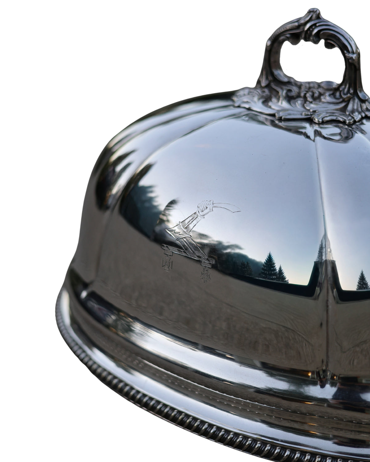 Arm in Armor Meat Dome-3