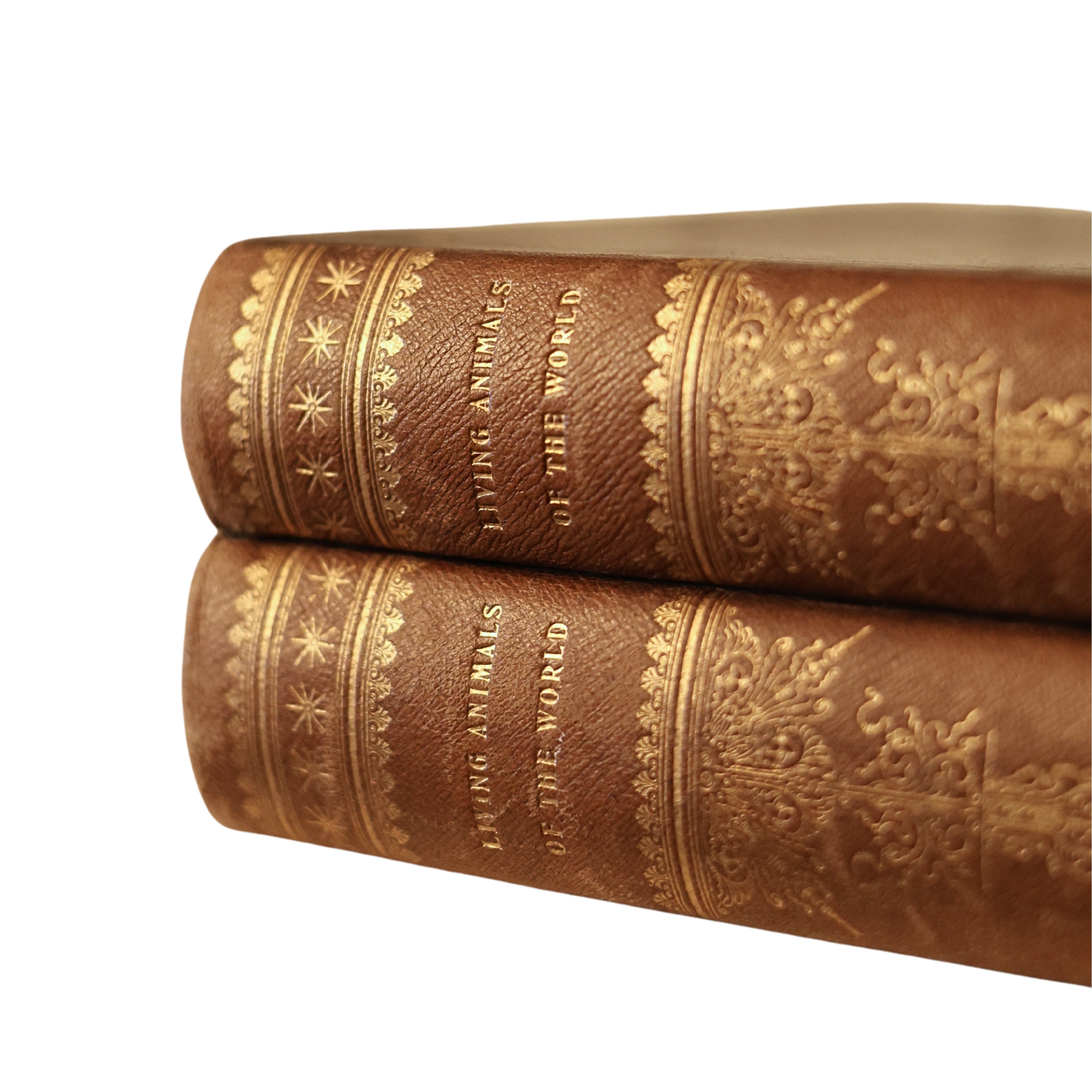 c. 1900 Living Animals of the World