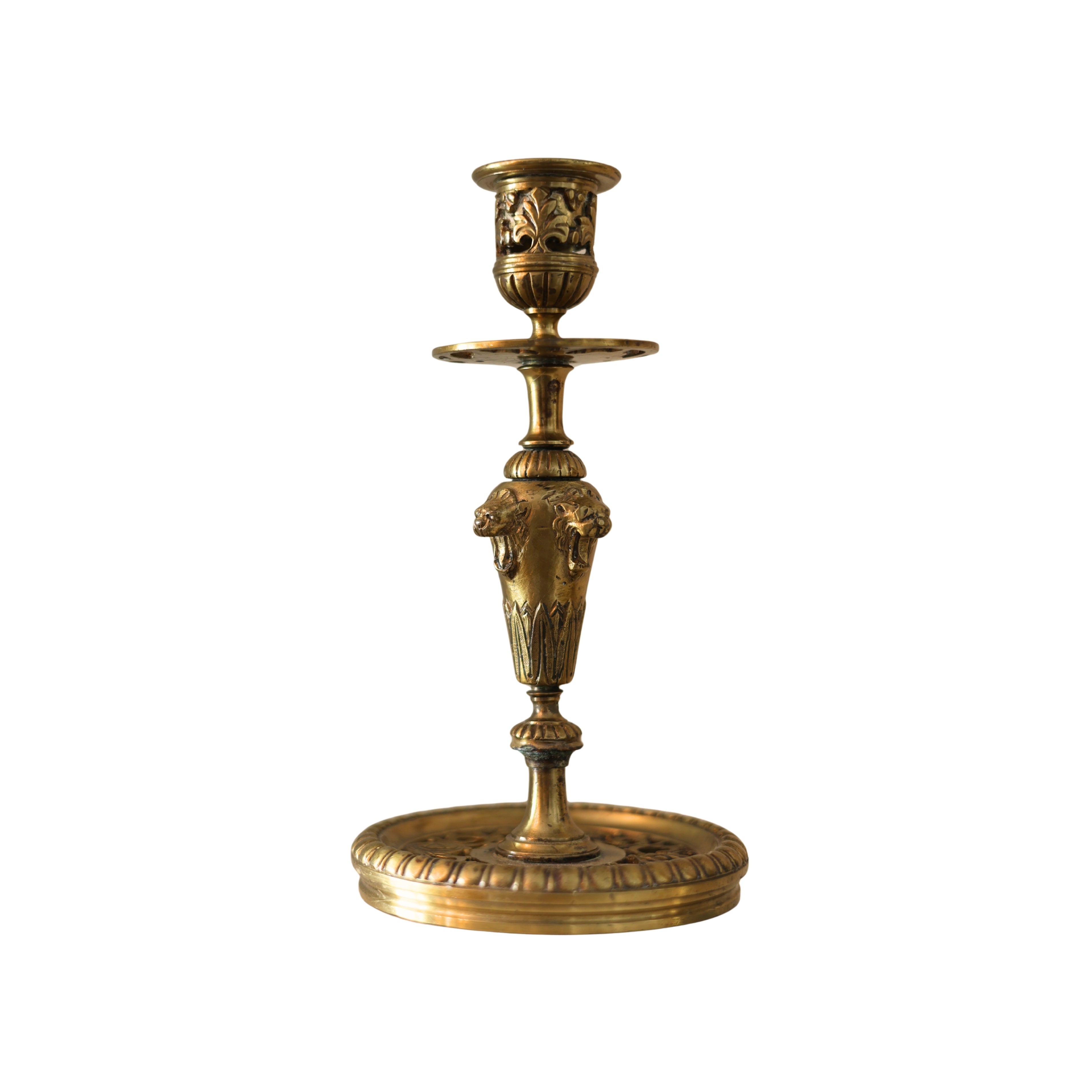 Brass Lion Candlesticks