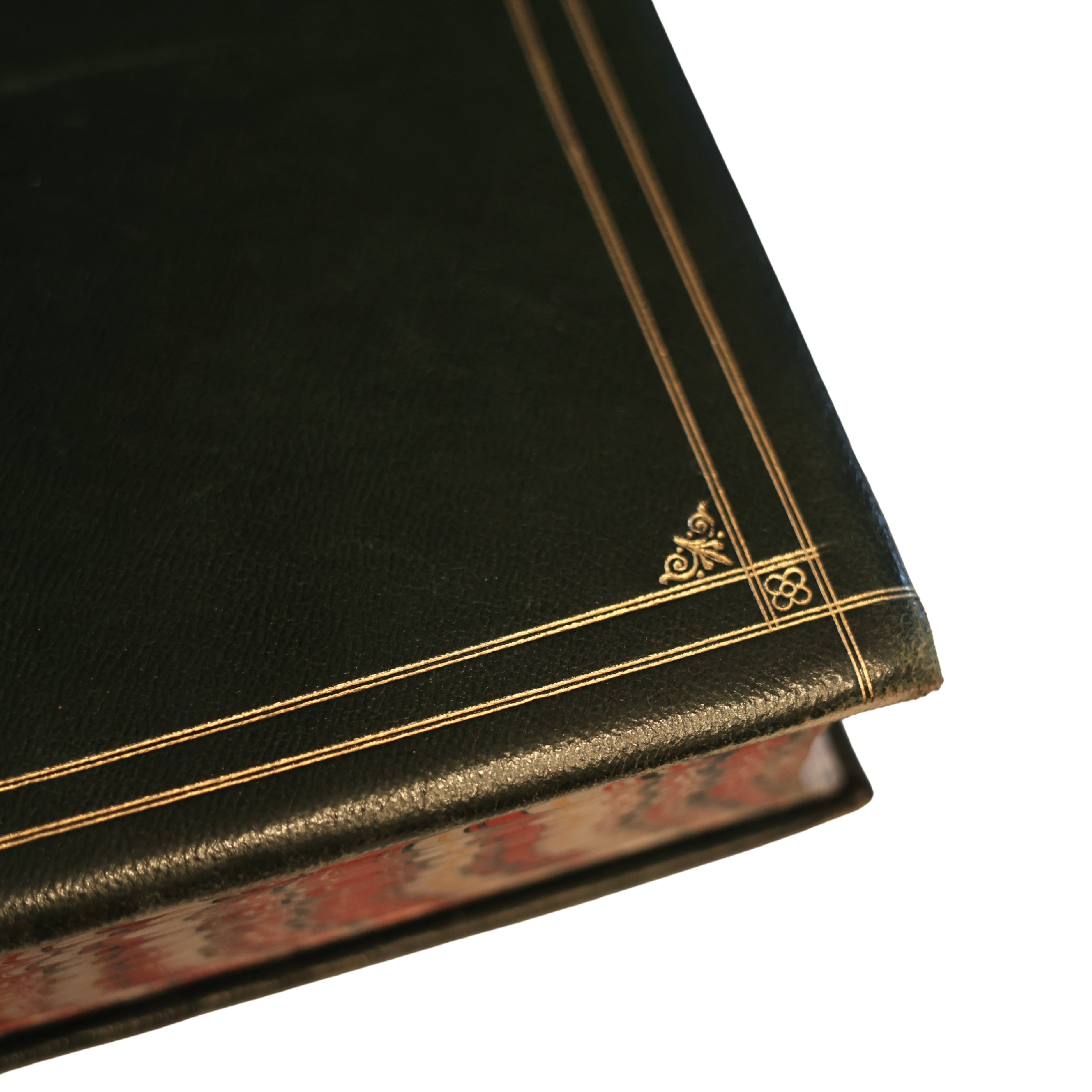 c. 1900 Living Animals of the World