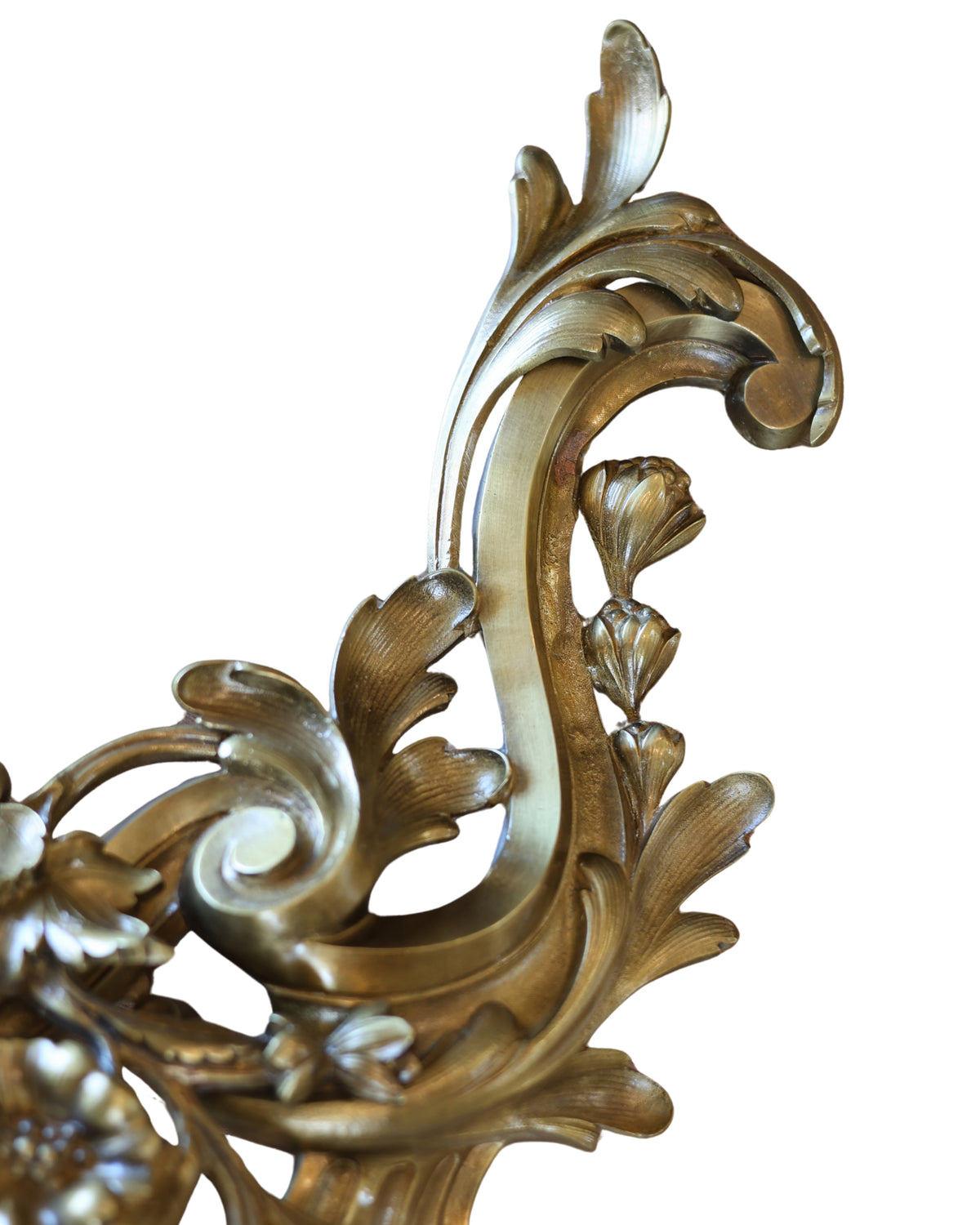Louis XV Rocaille Floral Chenets-3