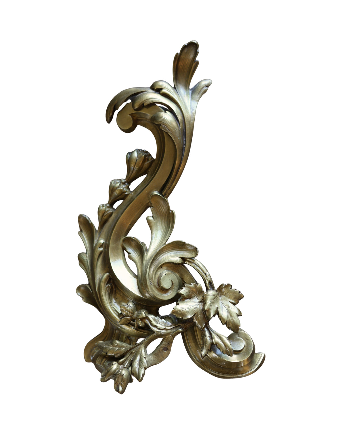 Louis XV Rocaille Floral Chenets-4