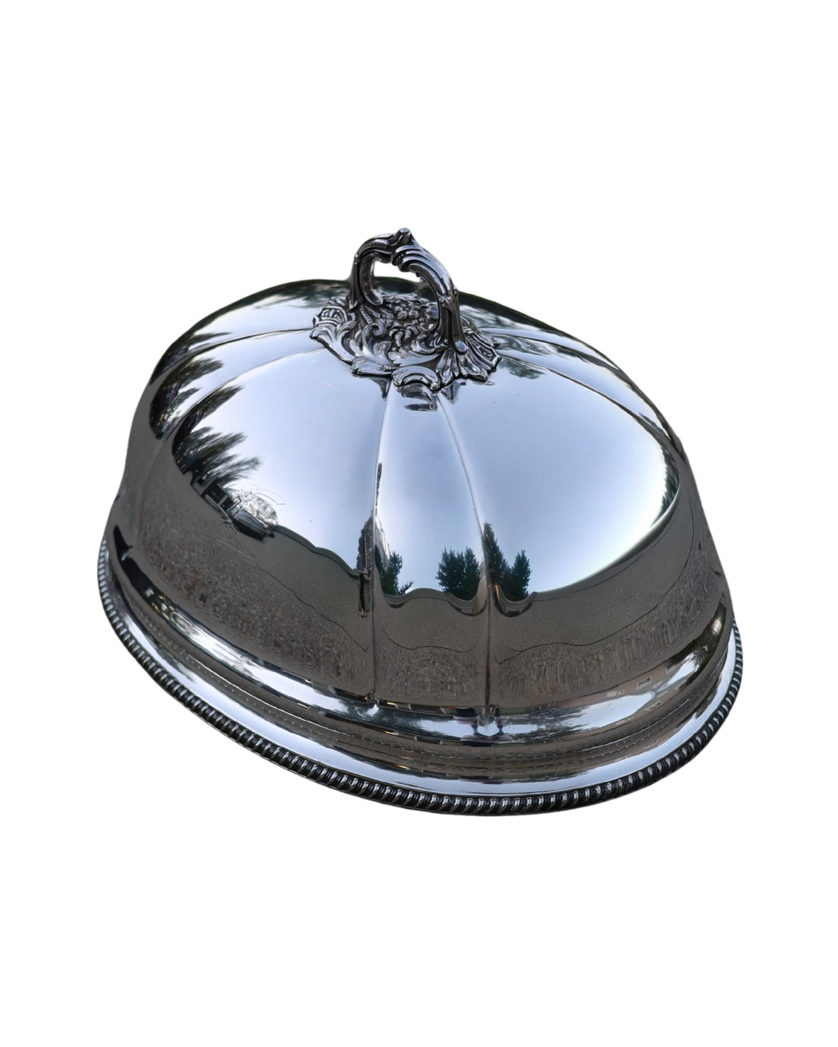 Arm in Armor Meat Dome-4