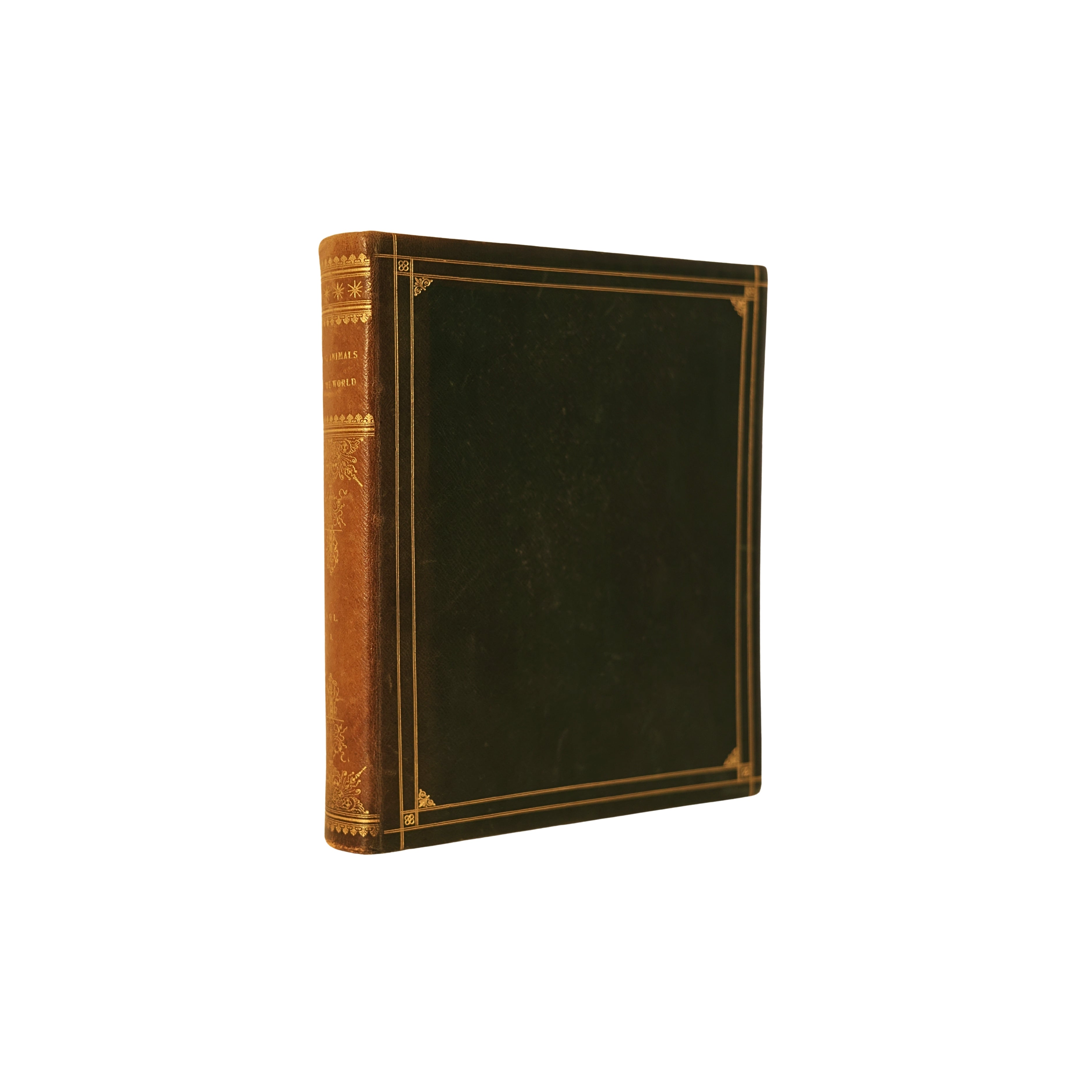 c. 1900 Living Animals of the World