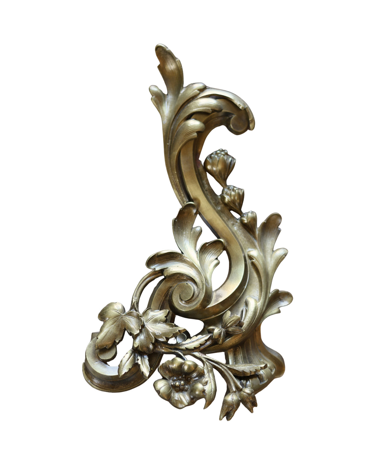Louis XV Rocaille Floral Chenets-5