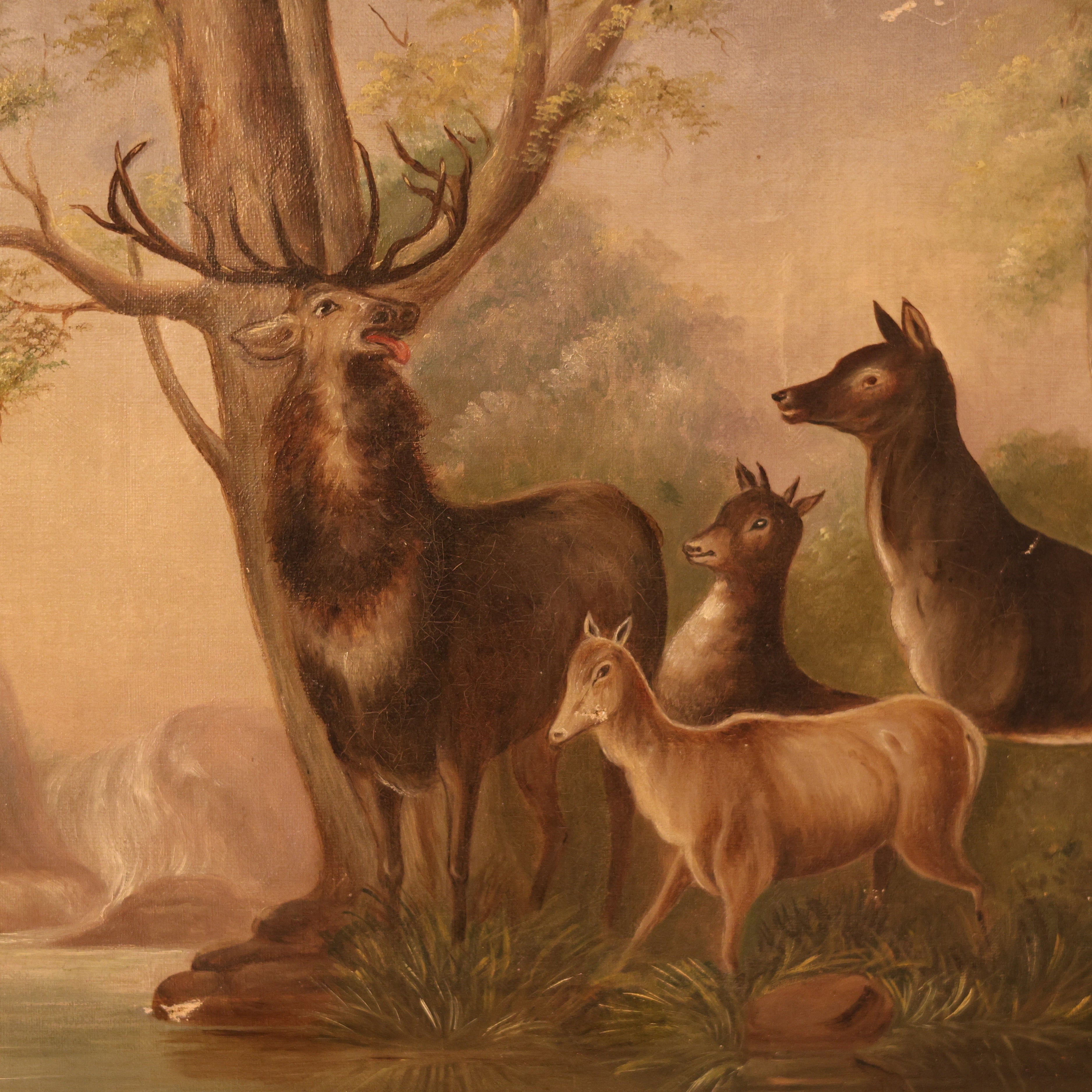 Stag and Deer in Woodland Oil Painting