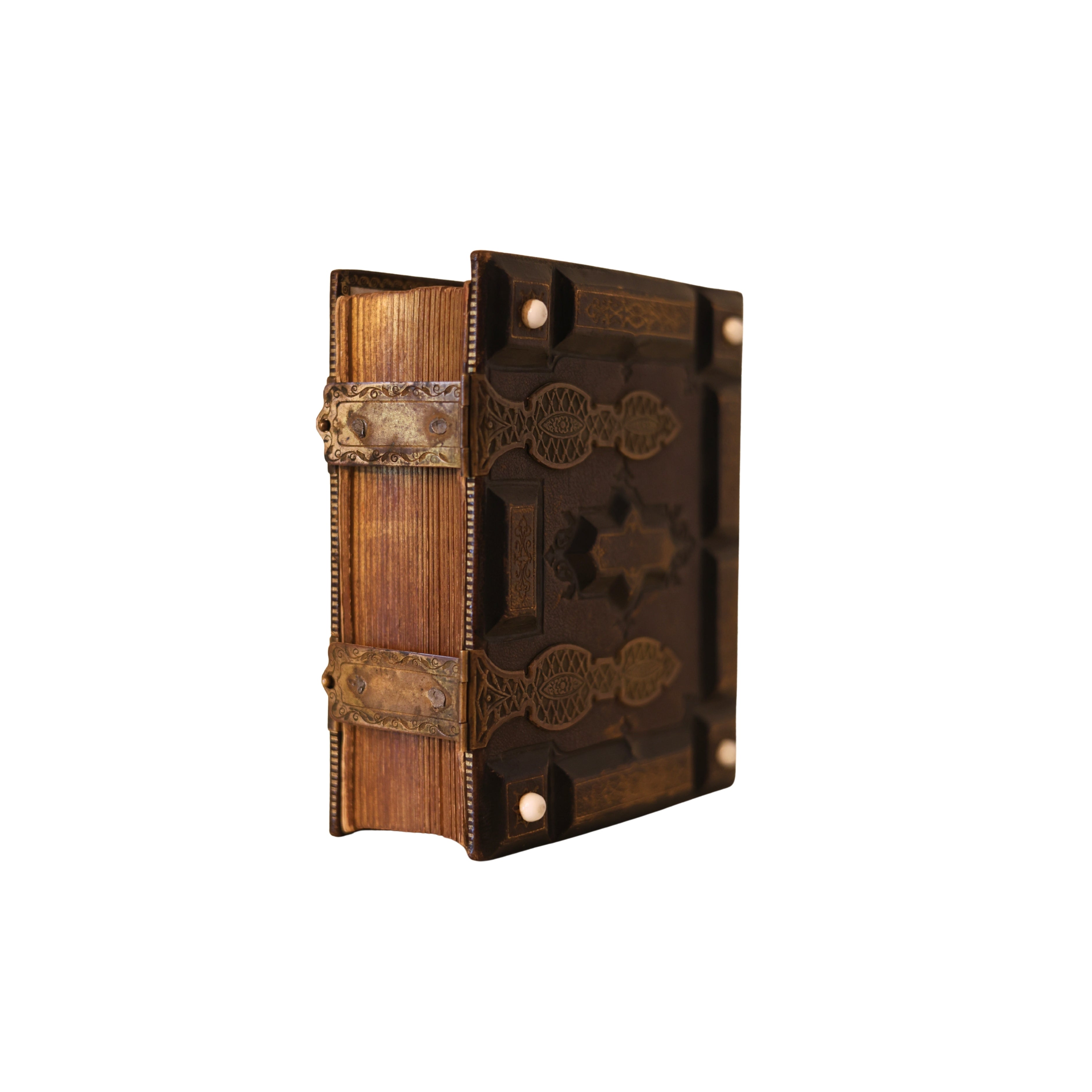 Leather Photo Album with Brass Clasps