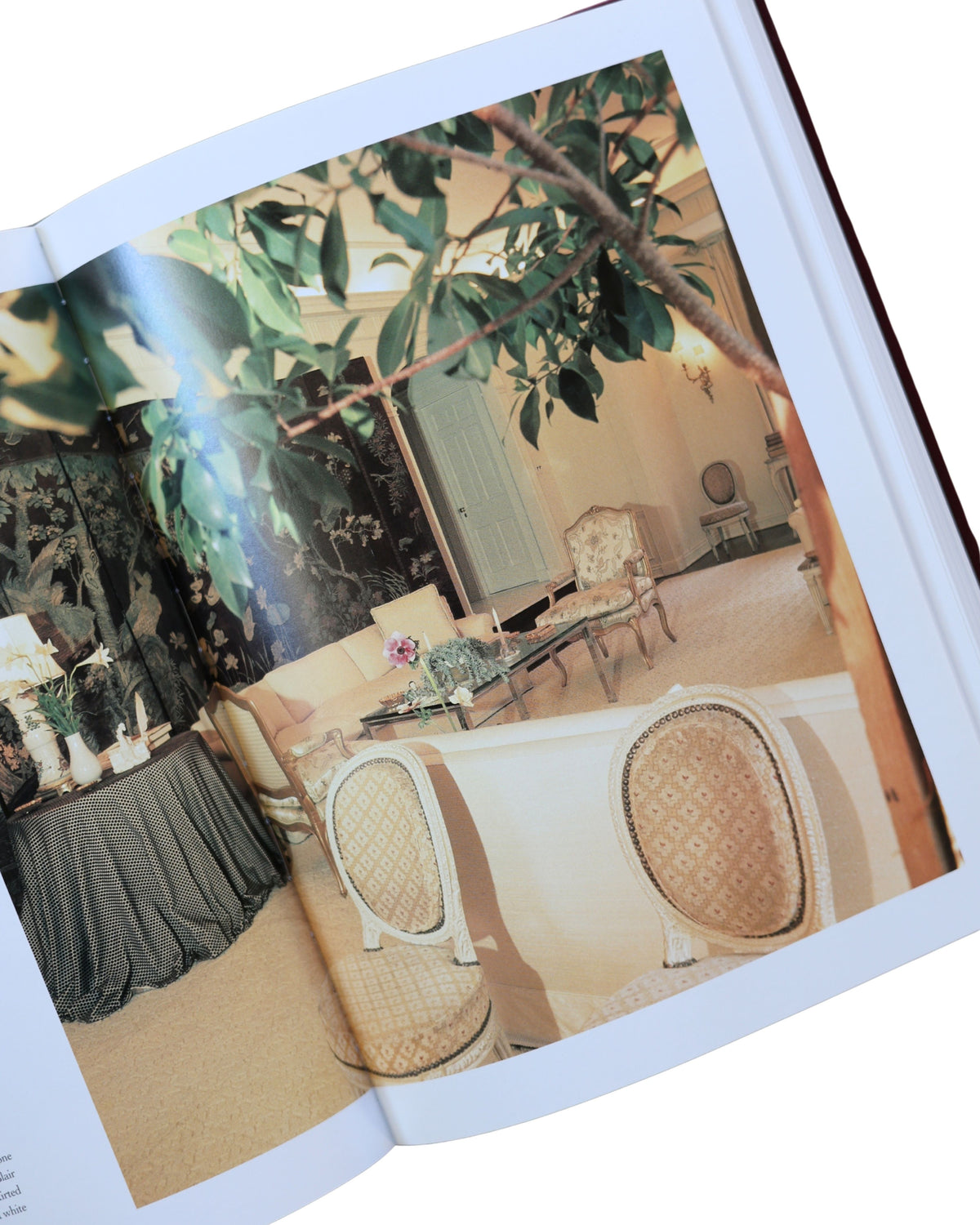 "Horst Interiors", Barbara Plumb-5