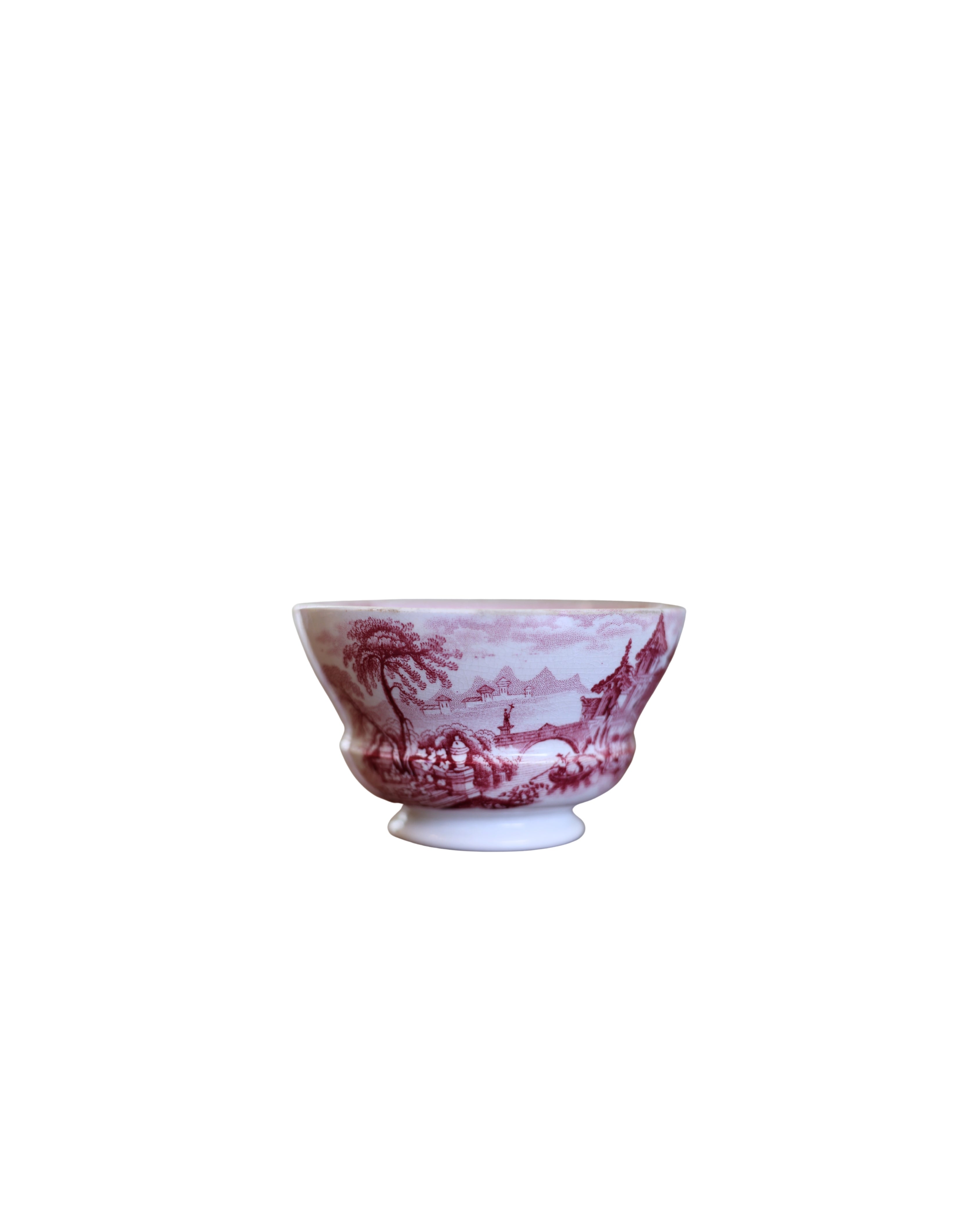 J. Wedgwood "Geneva" Tea Bowl & Saucer-5
