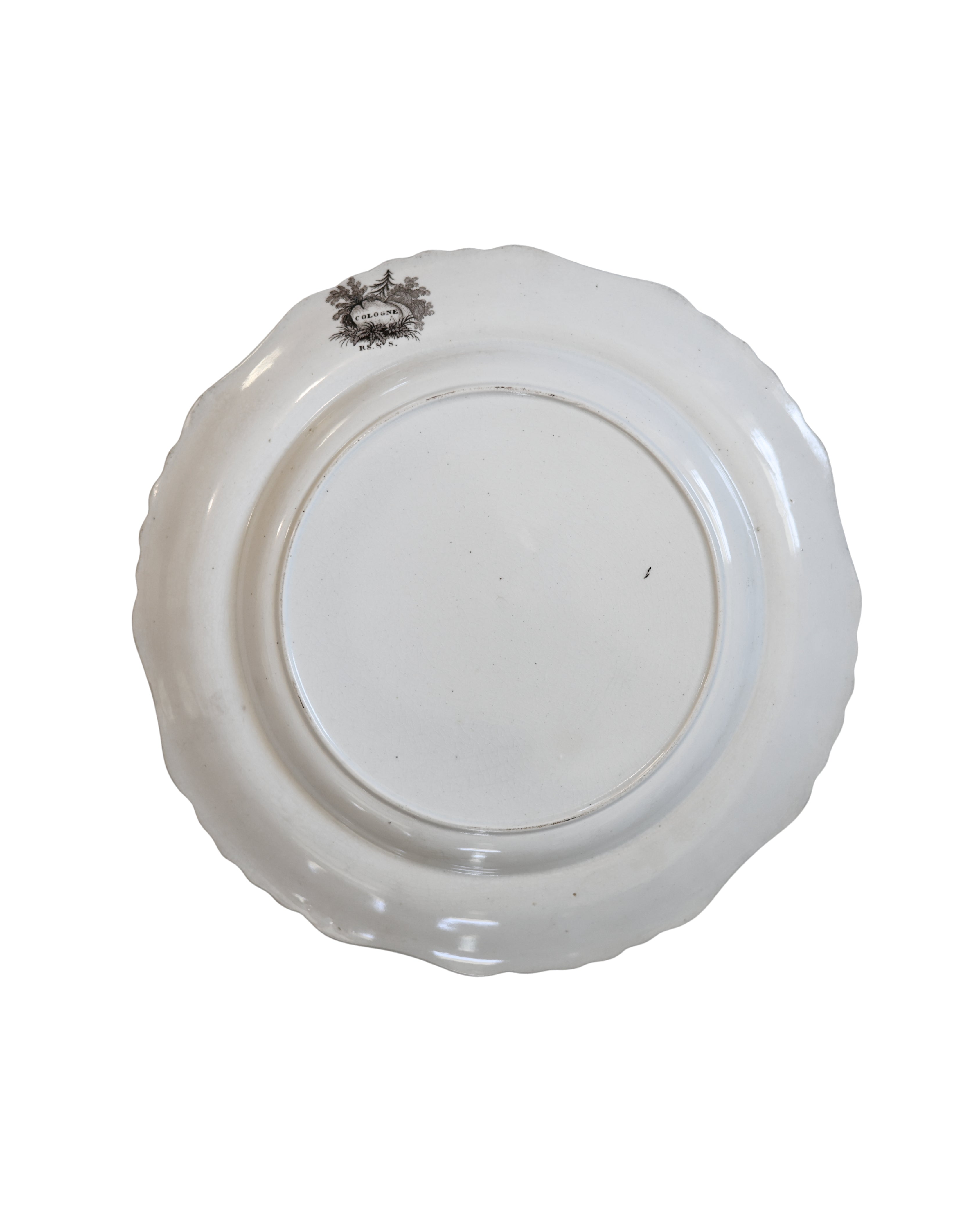 Ralph Stevenson & Son “Cologne” Dinner Plate-3